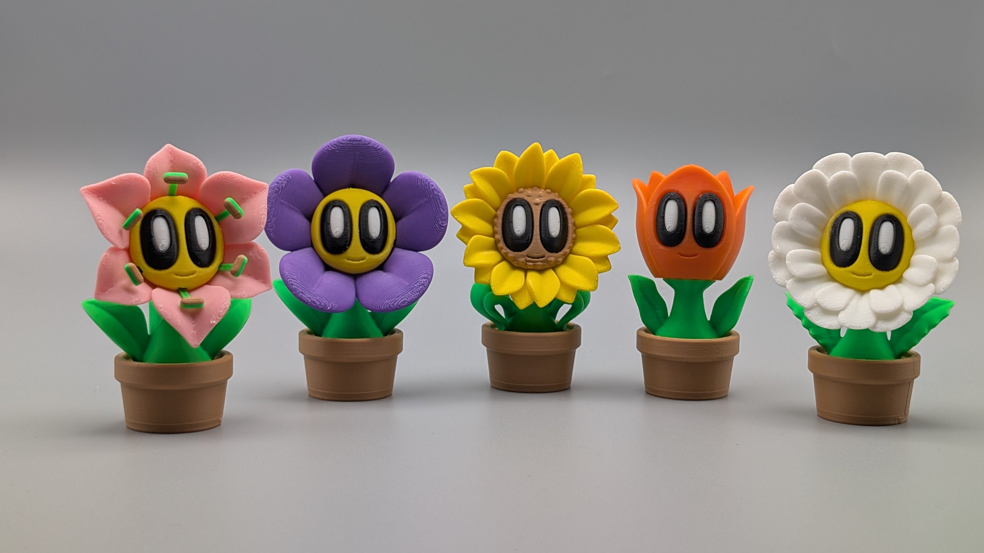 5 Flowers - Fillywinkel