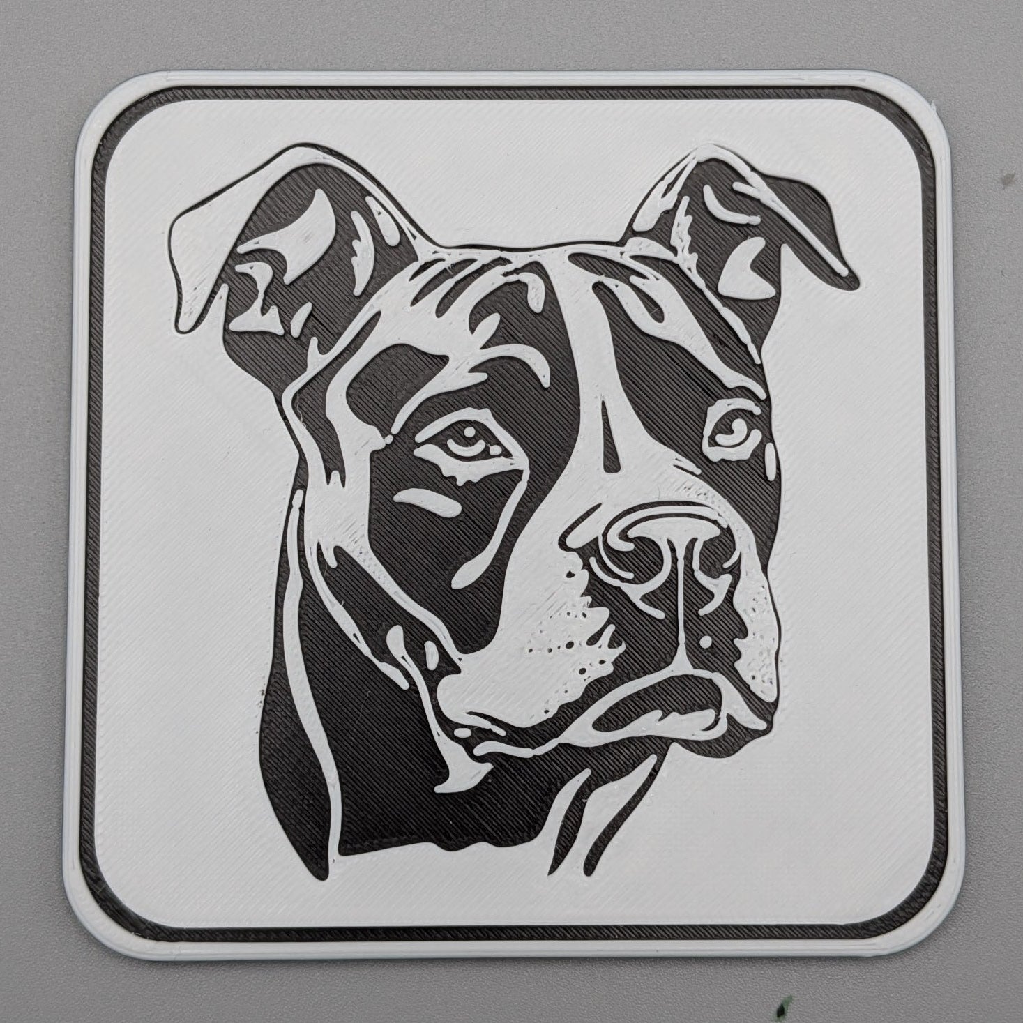 AmericanBullyCoaster