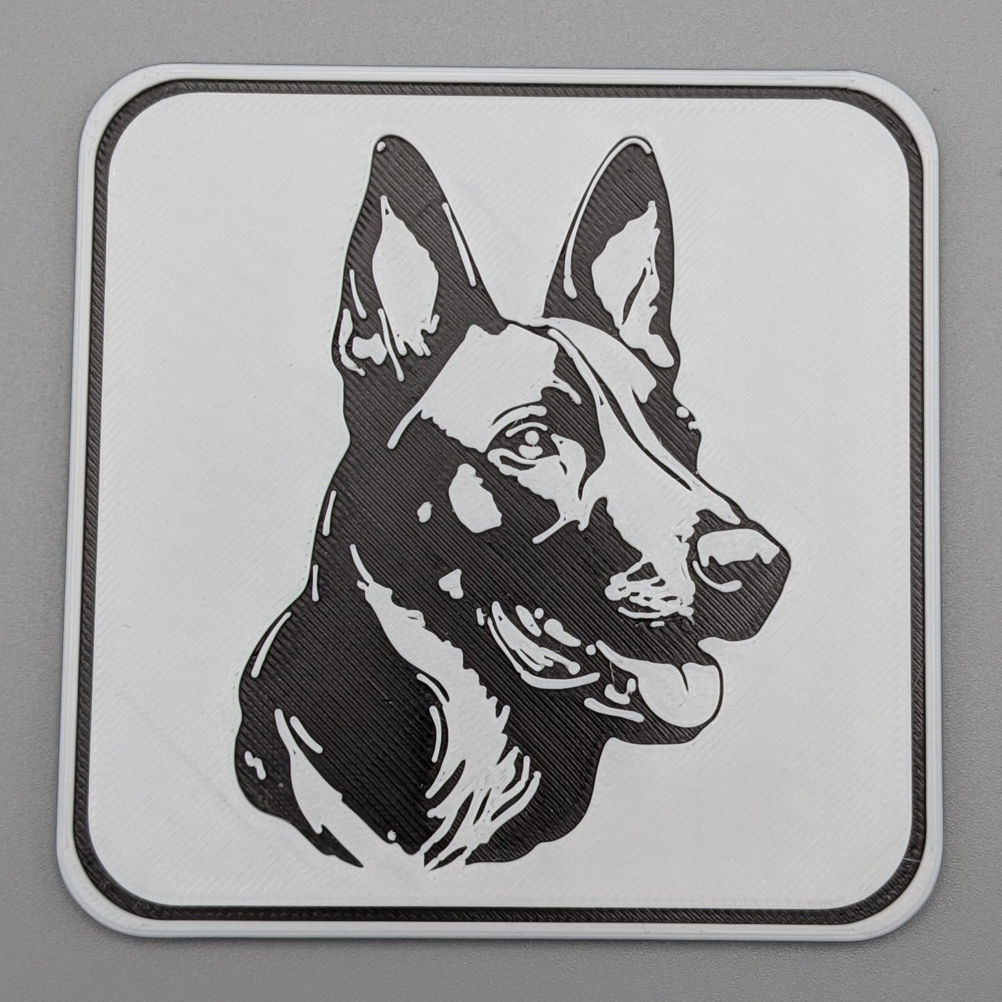 BelgianMalinoisCoaster