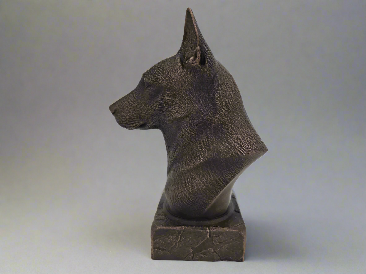 Bust-BelgianMalinois-Side-Fillywinkel