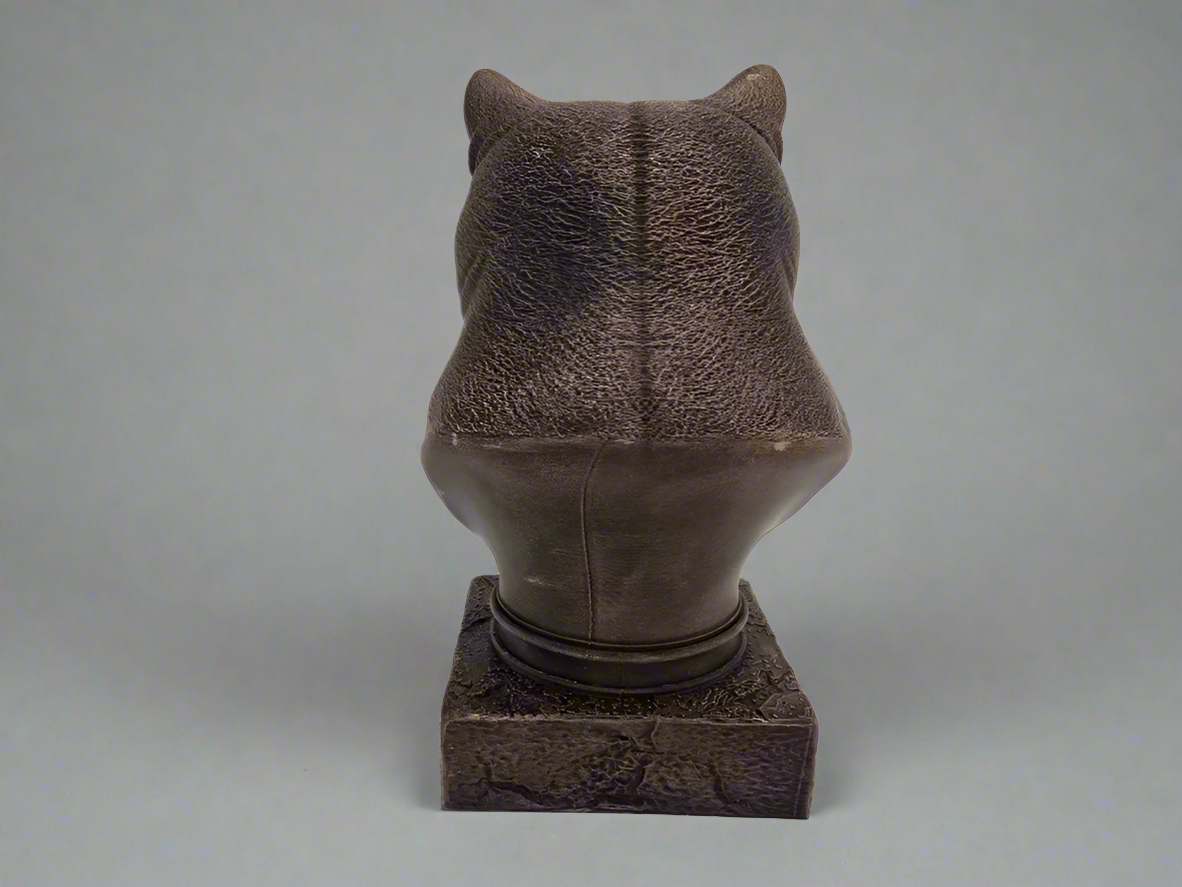 Bust-BritishShorthair-Back-Fillywinkel