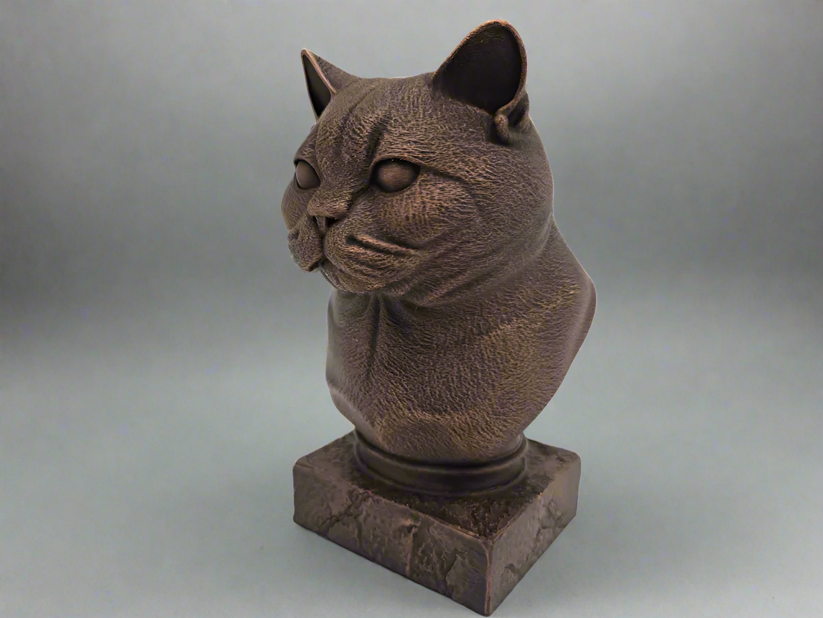 Bust-BritishShorthair-Fillywinkel