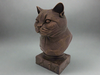 Bust-BritishShorthair-Fillywinkel