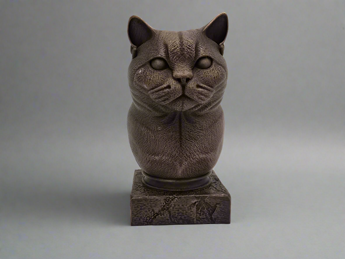 Bust-BritishShorthair-Front-Fillywinkel