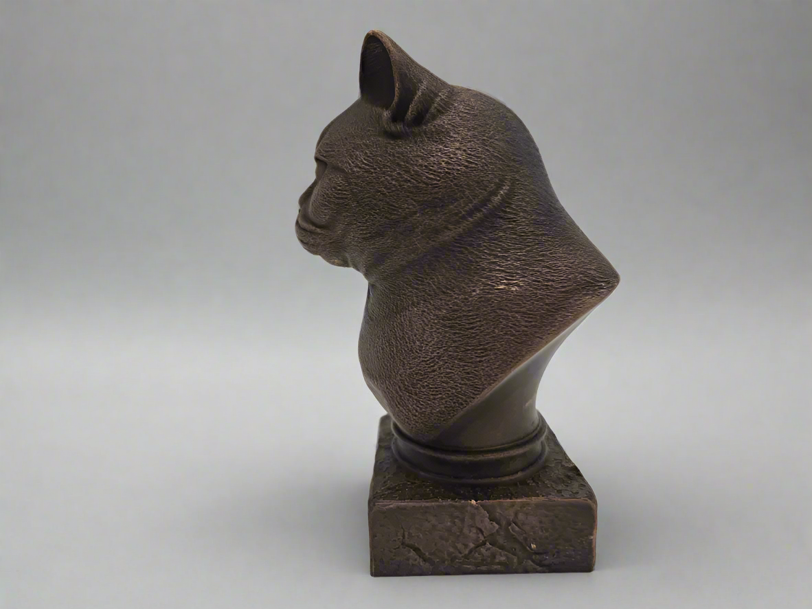 Bust-BritishShorthair-Side-Fillywinkel