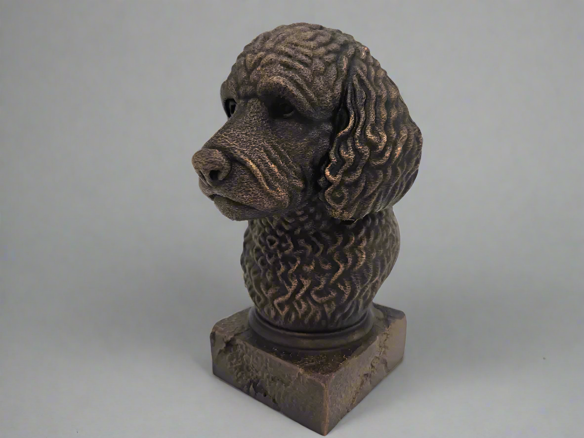 Bust-Labradoodle-Fillywinkel