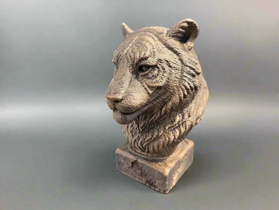 Bust-Tiger-Fillywinkel