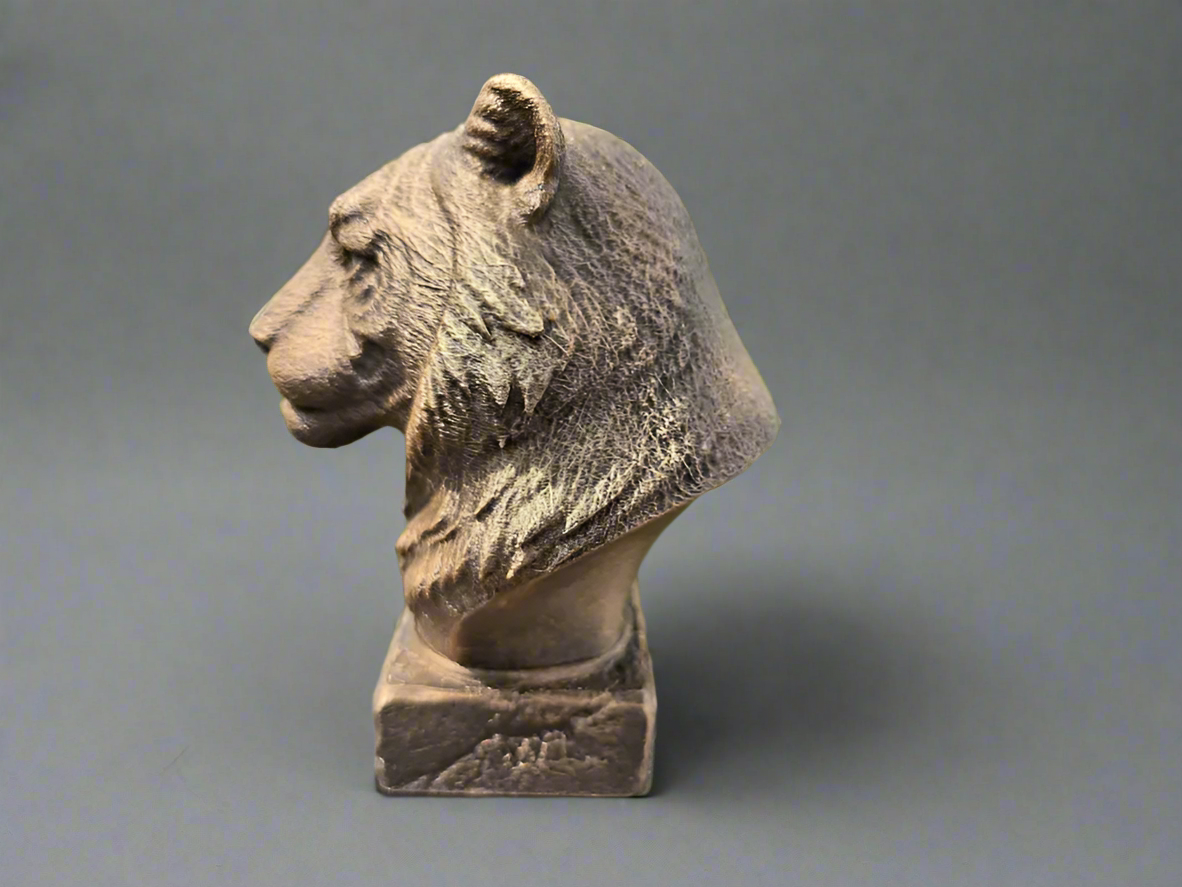 Bust-Tiger-Side-Fillywinkel