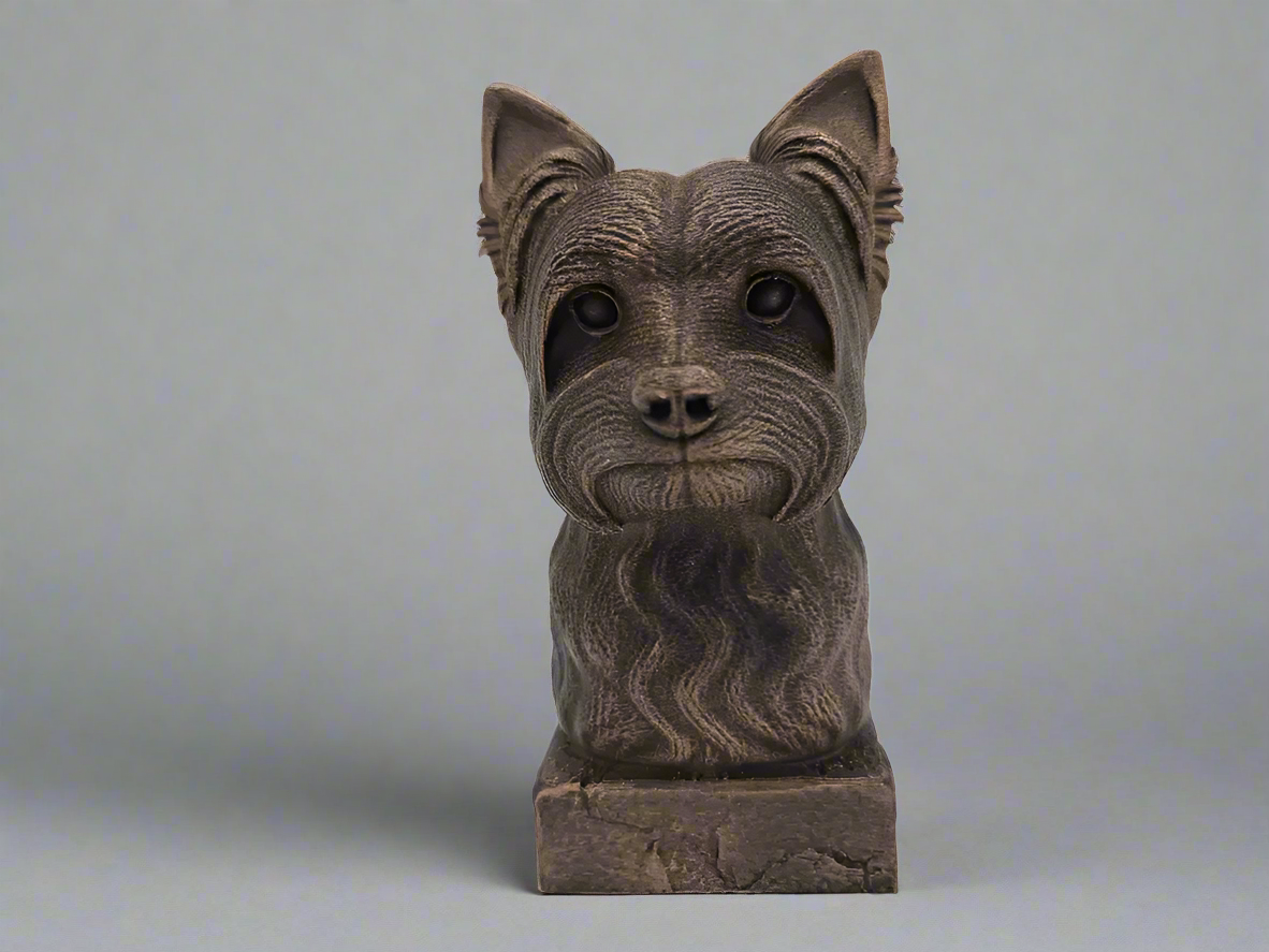 Bust-YorkshireTerrier-Front-Fillywinkel