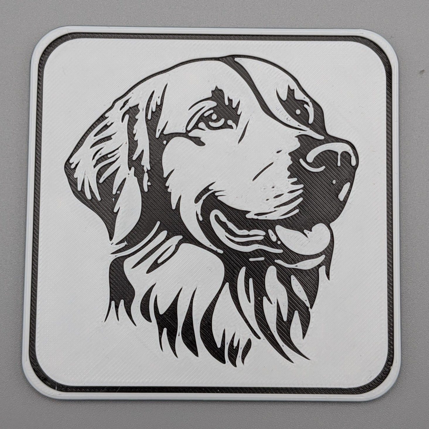 GoldenRetrieverCoaster