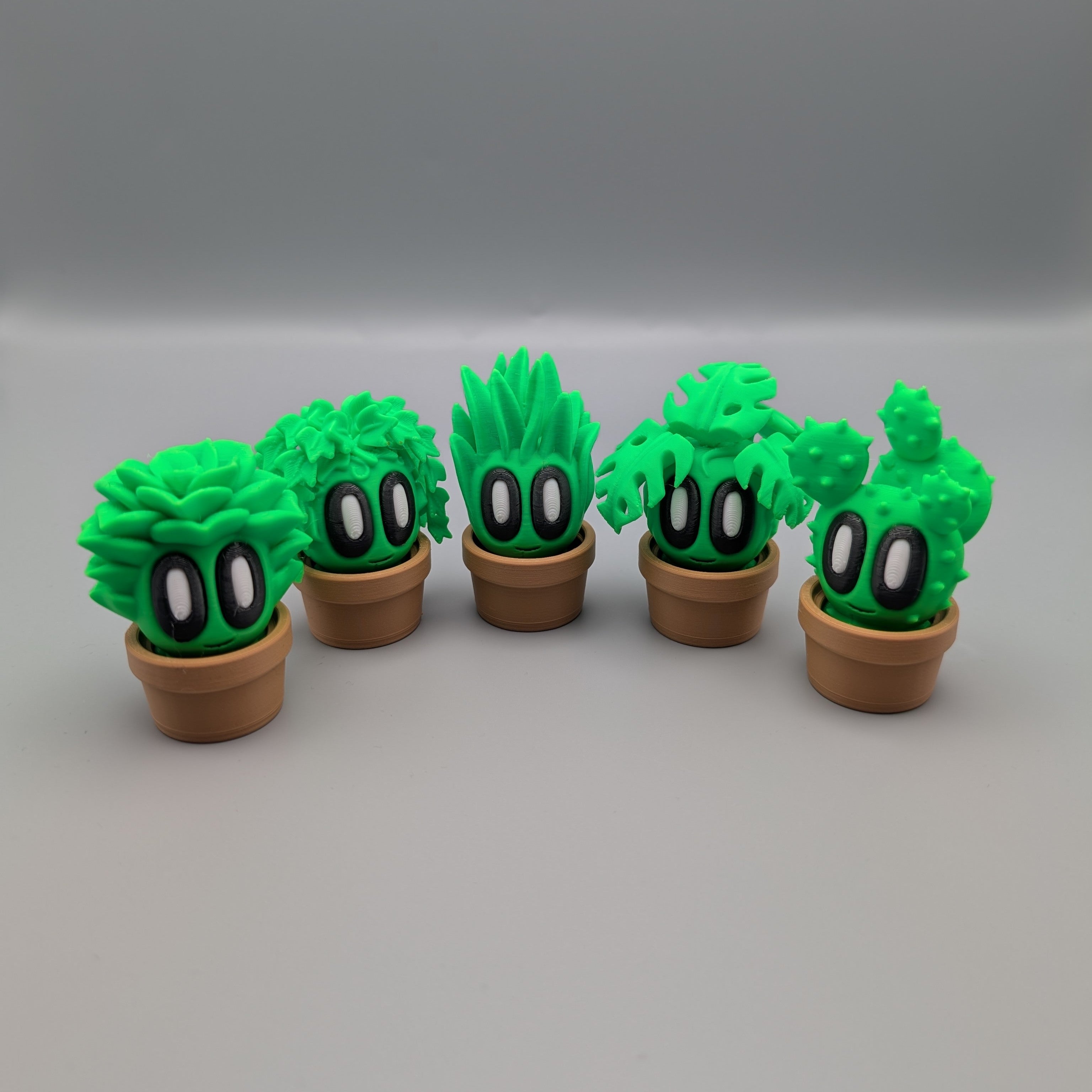 Group Picture Plants - Fillywinkel