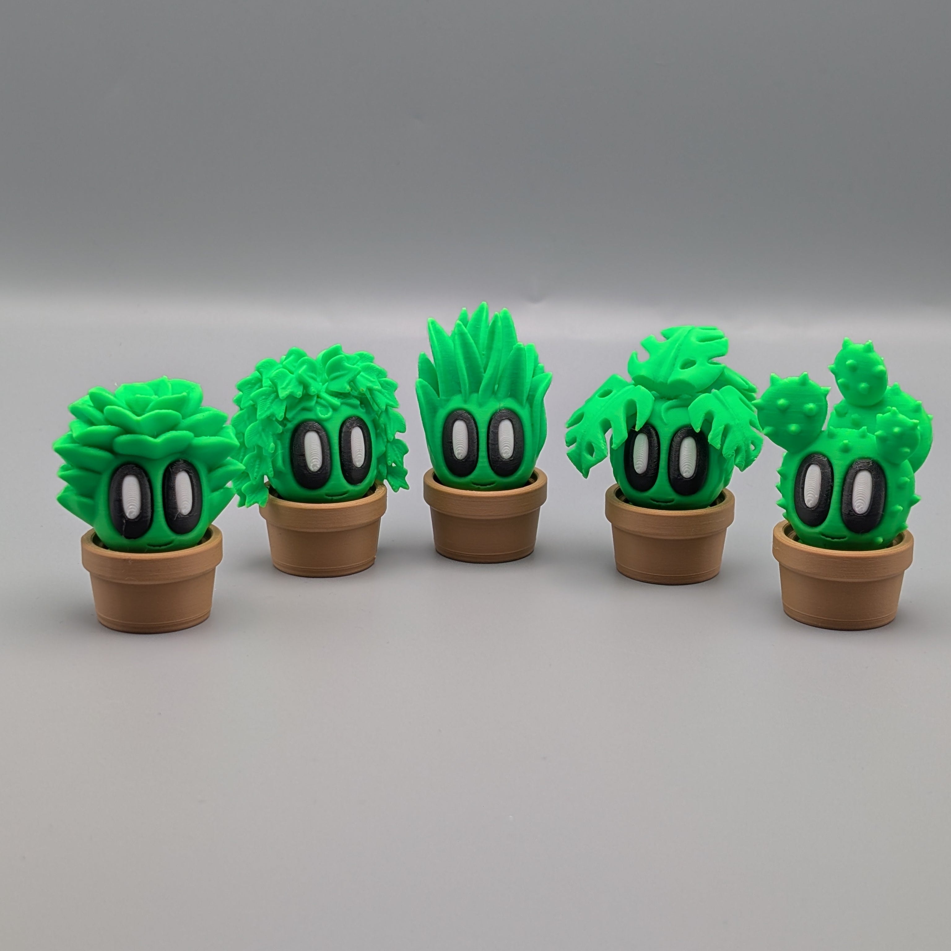 Group Picture Plants 2 - Fillywinkel