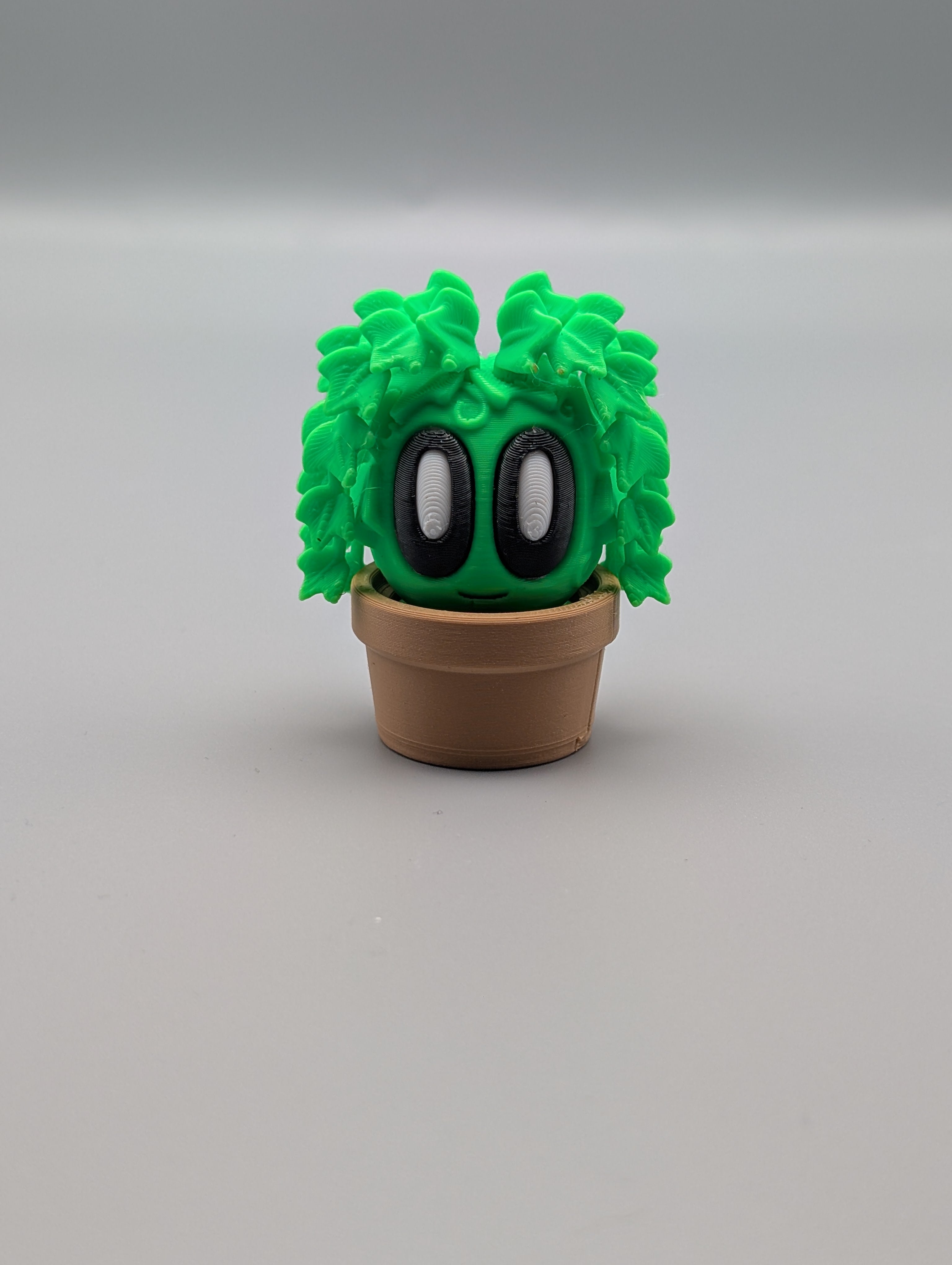 Ivy - Fillywinkel
