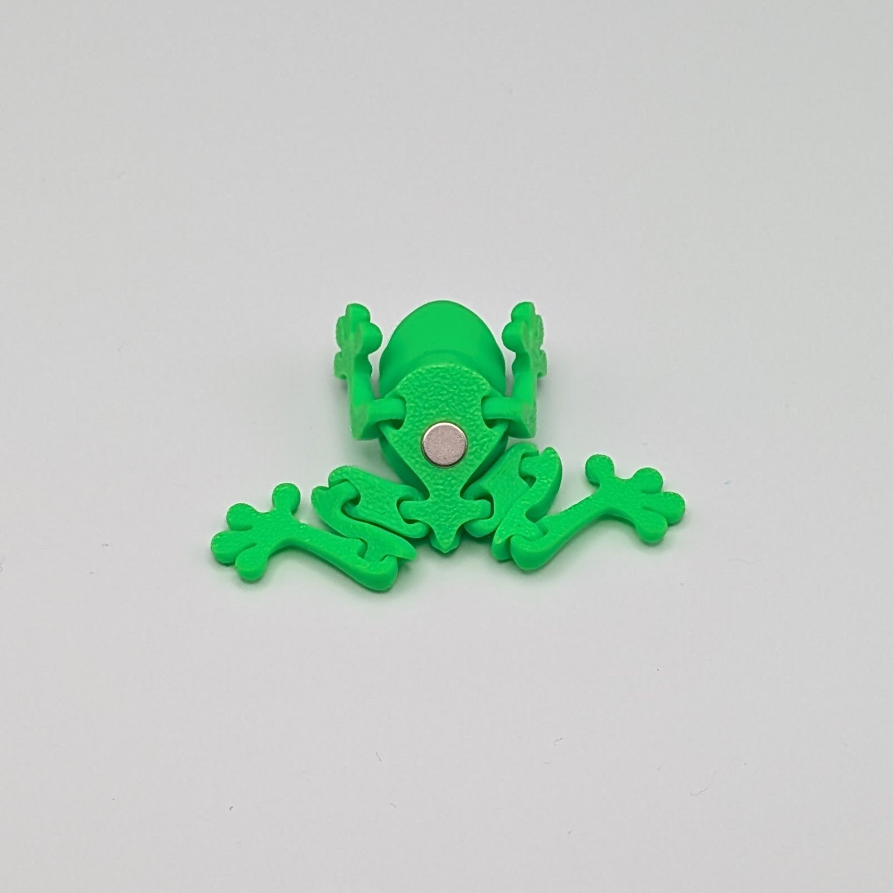 Magnet Frog Back - Fillywinkel