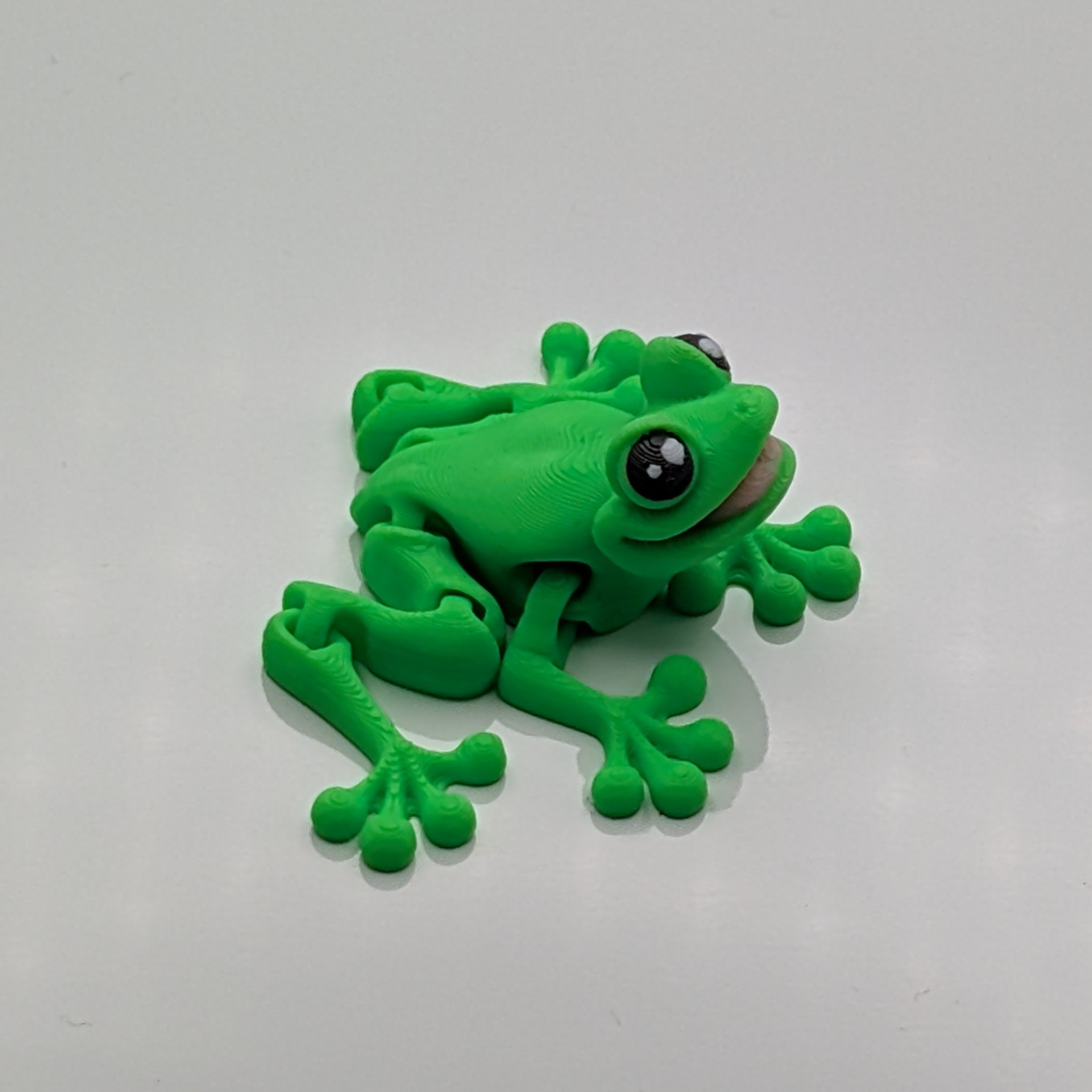 Magnet Frog Flexi - Fillywinkel
