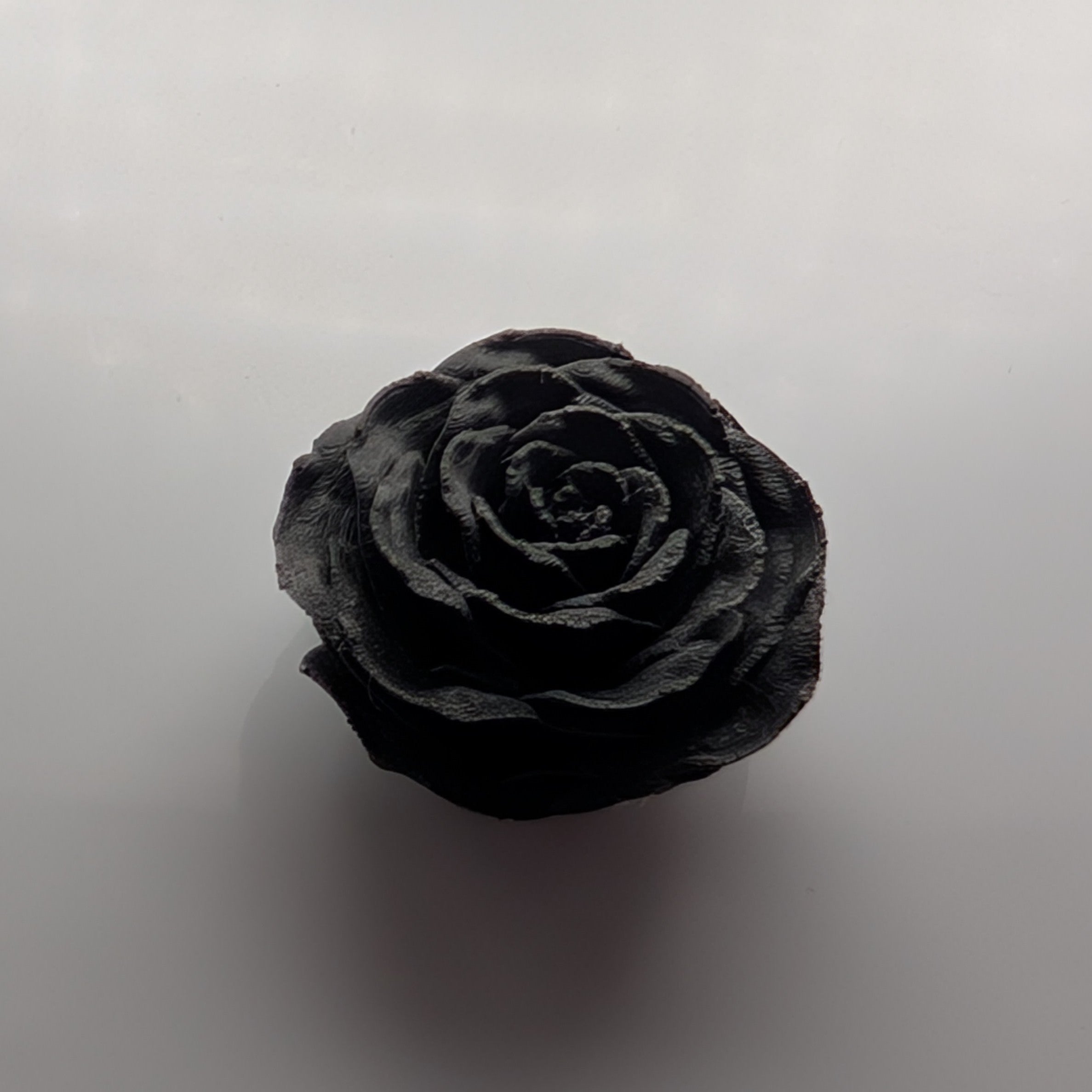 Magnet Rose Black Top - Fillywinkel