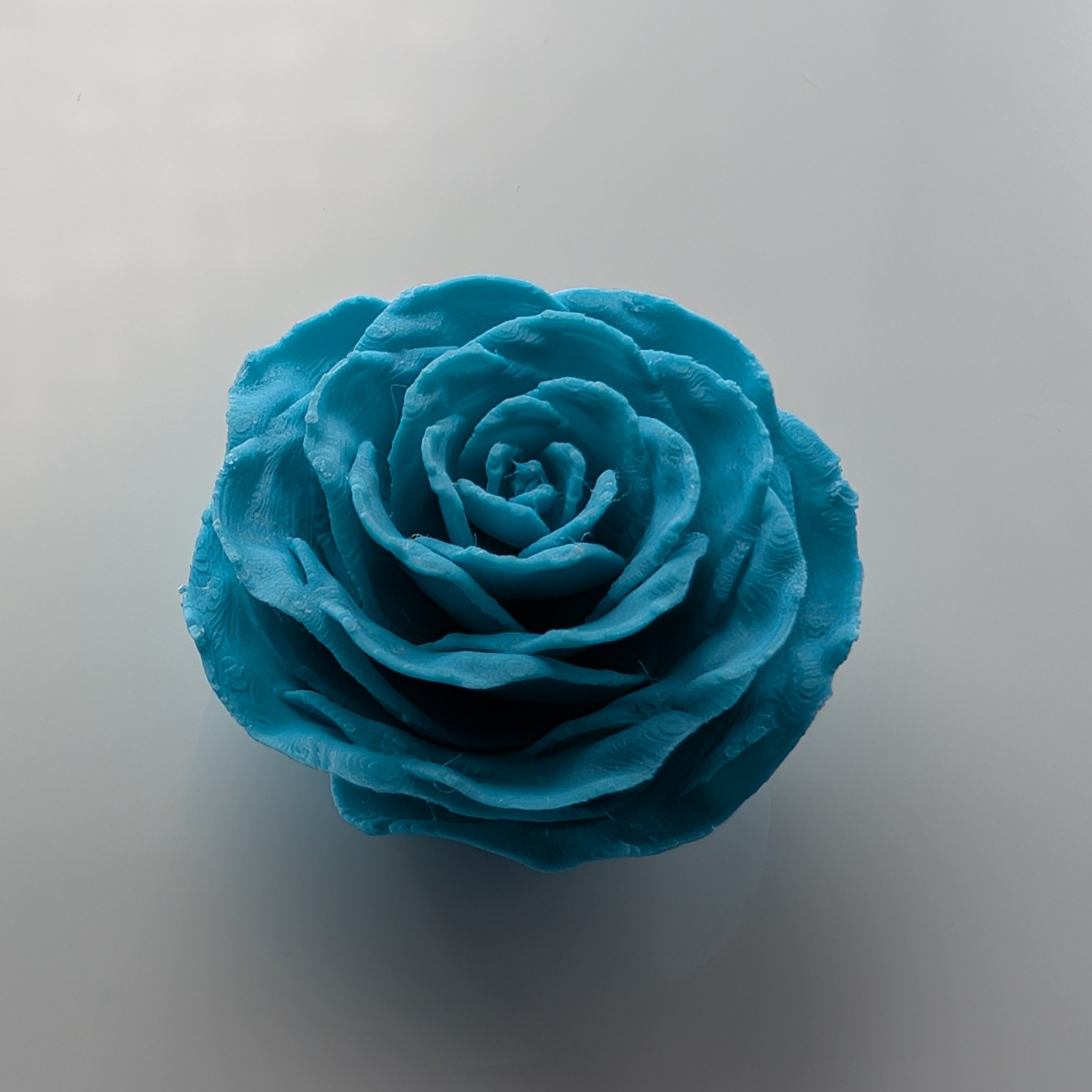 Magnet Rose Ligh tBlue Top - Fillywinkel