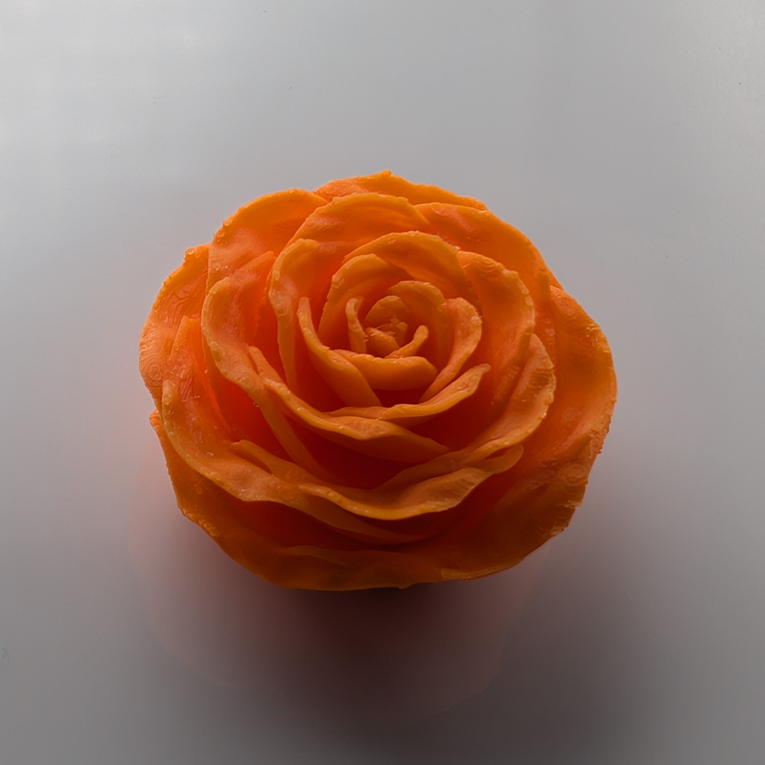 Magnet Rose Orange Top - Fillywinkel