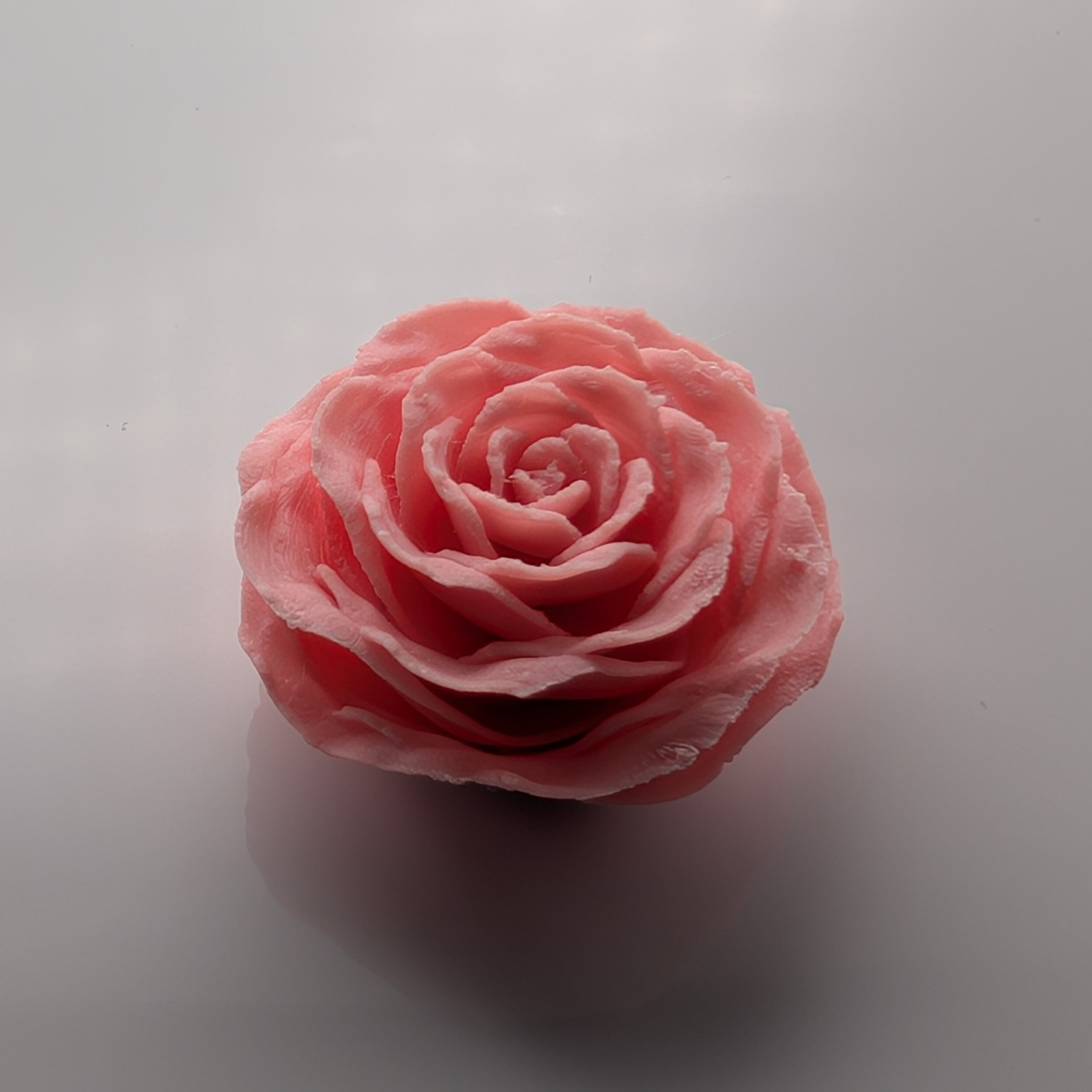 Magnet Rose Pink Top - Fillywinkel