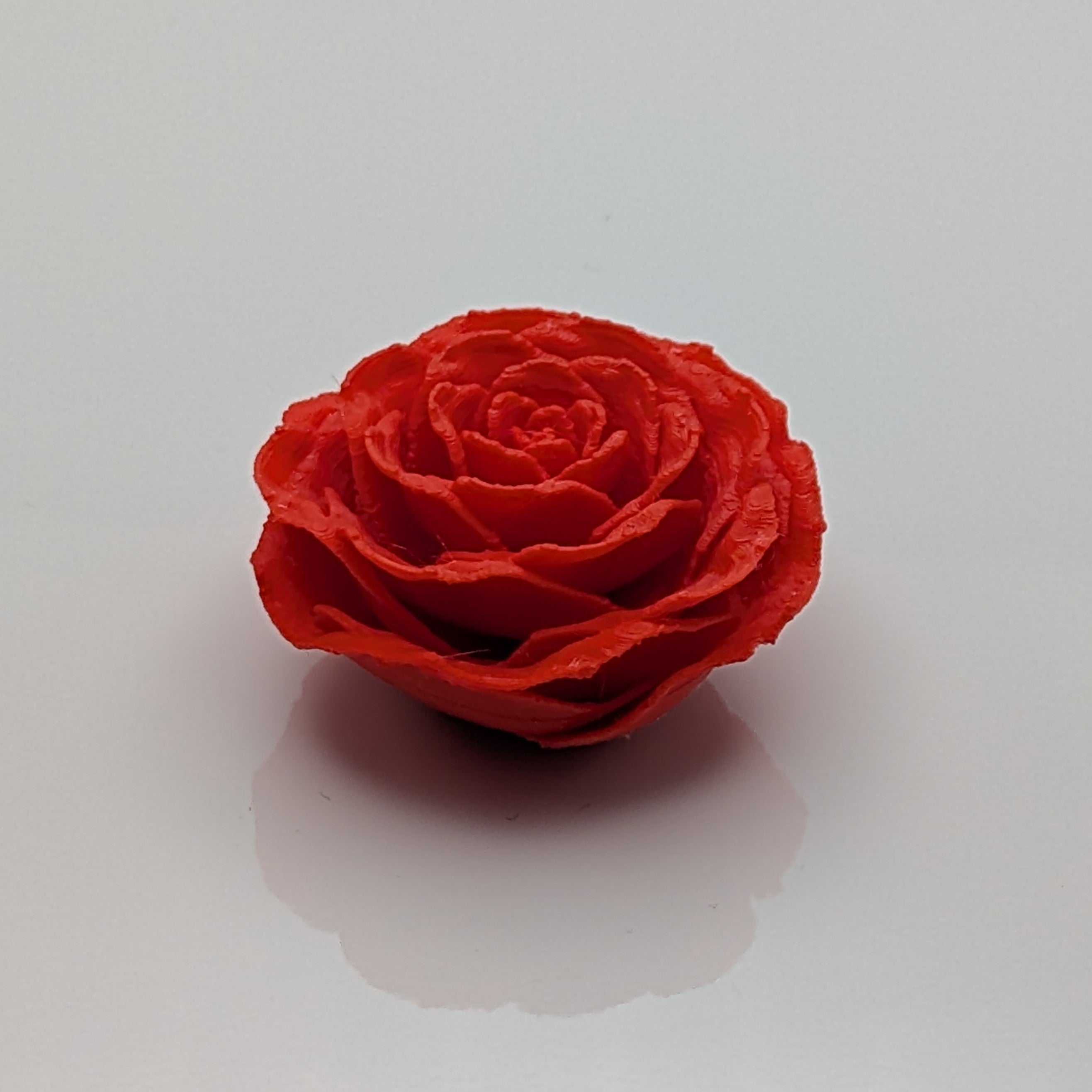 Magnet Rose Red Top Tilted - Fillywinkel