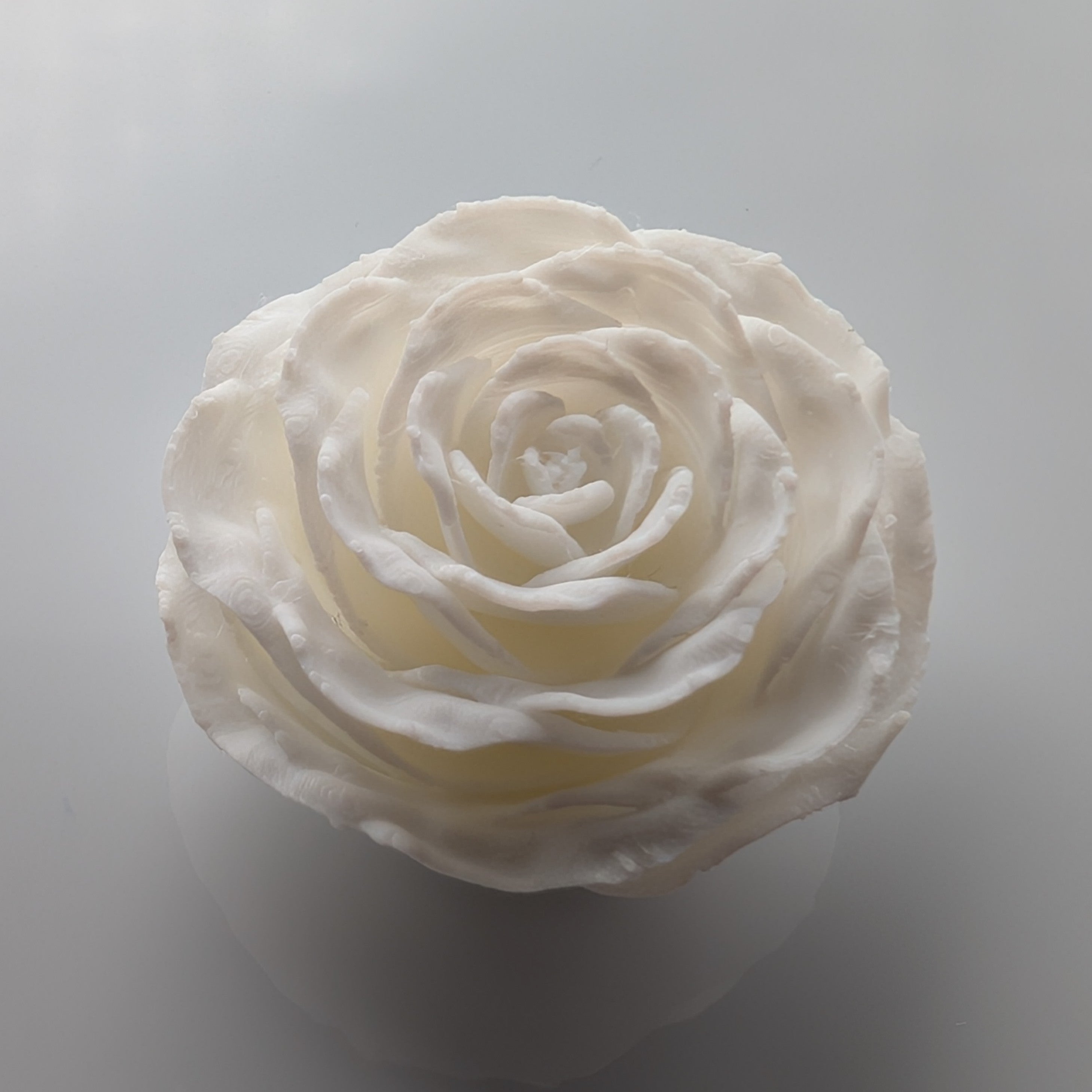 Magnet Rose White Top - Fillywinkel