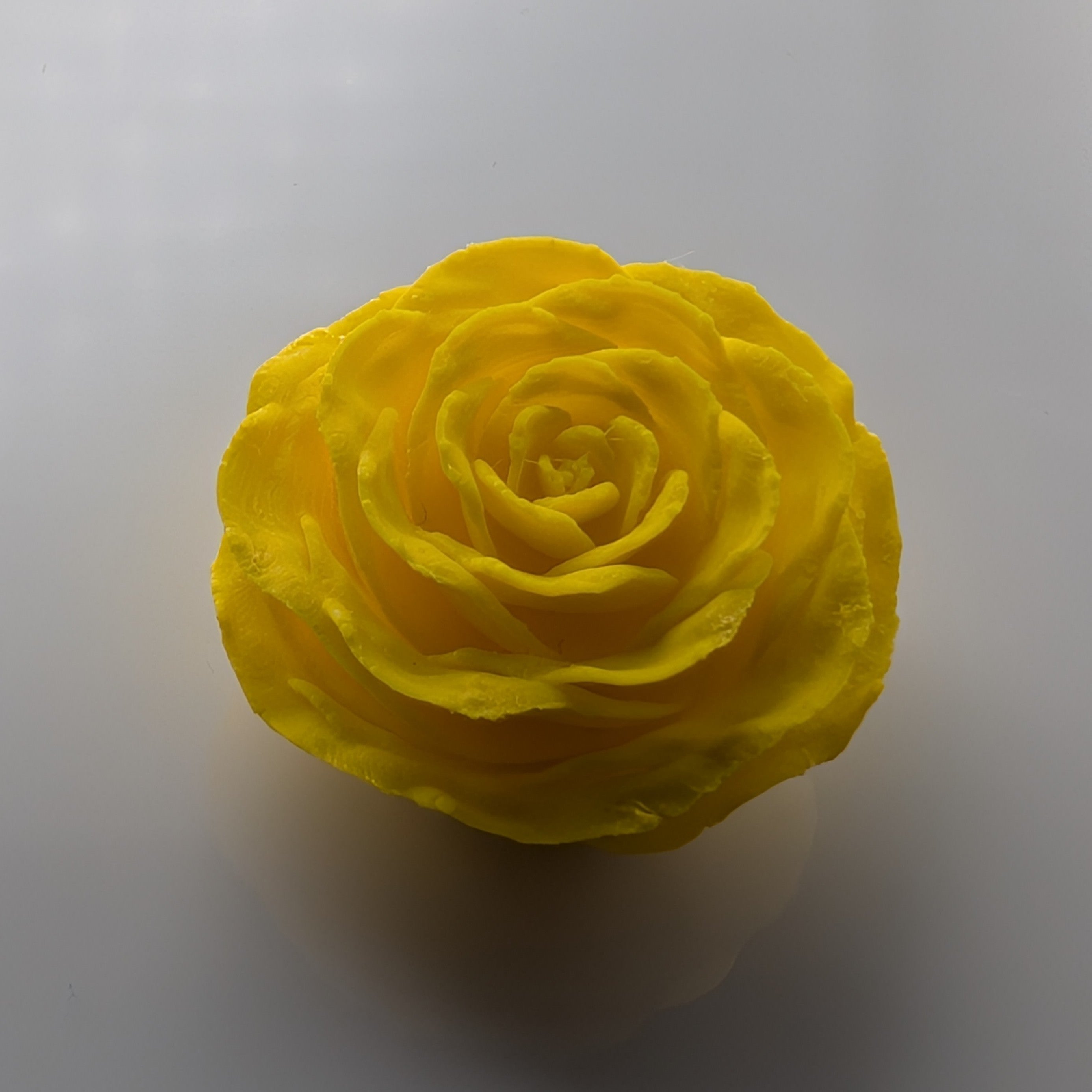 Magnet Rose Yellow Top - Fillywinkel
