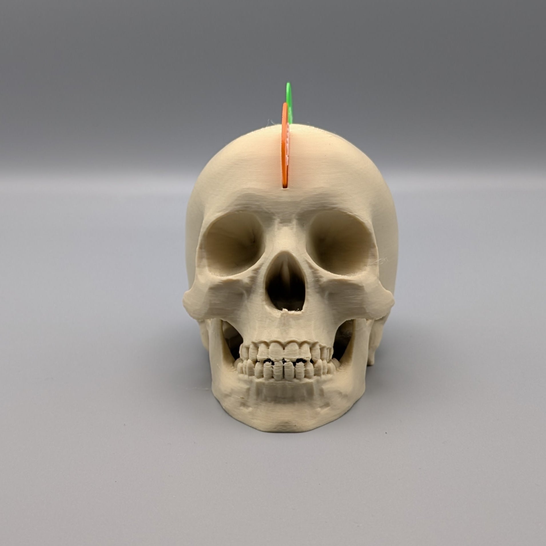 Skull Pick Holder - Fillywinkel