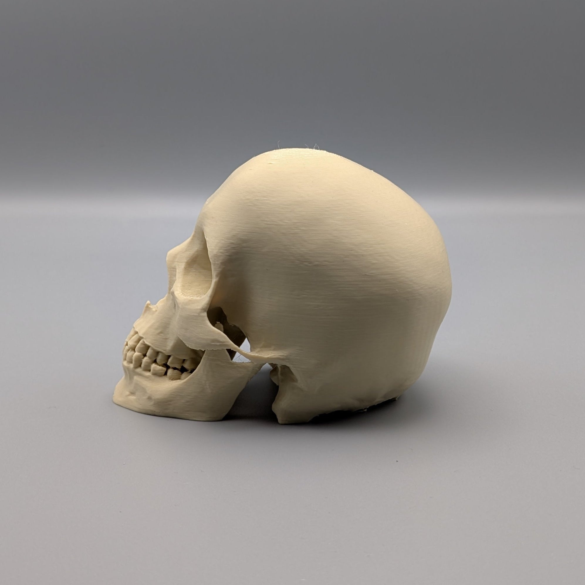 Skull Pick Holder - Fillywinkel