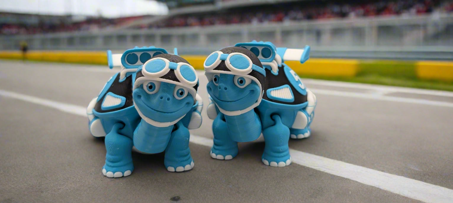 Articulated Racecar Turtle - Fillywinkel