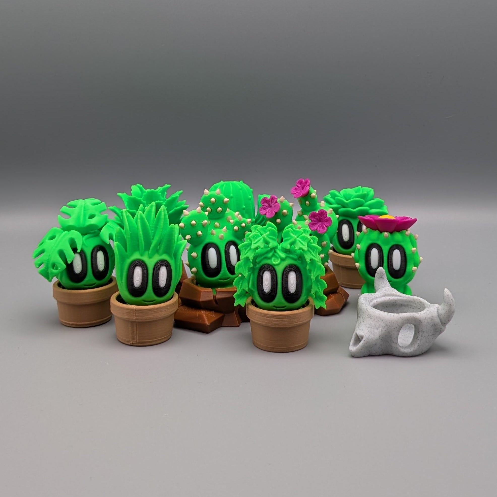 Desk Buddy plant collection cute desk decor for workspace
