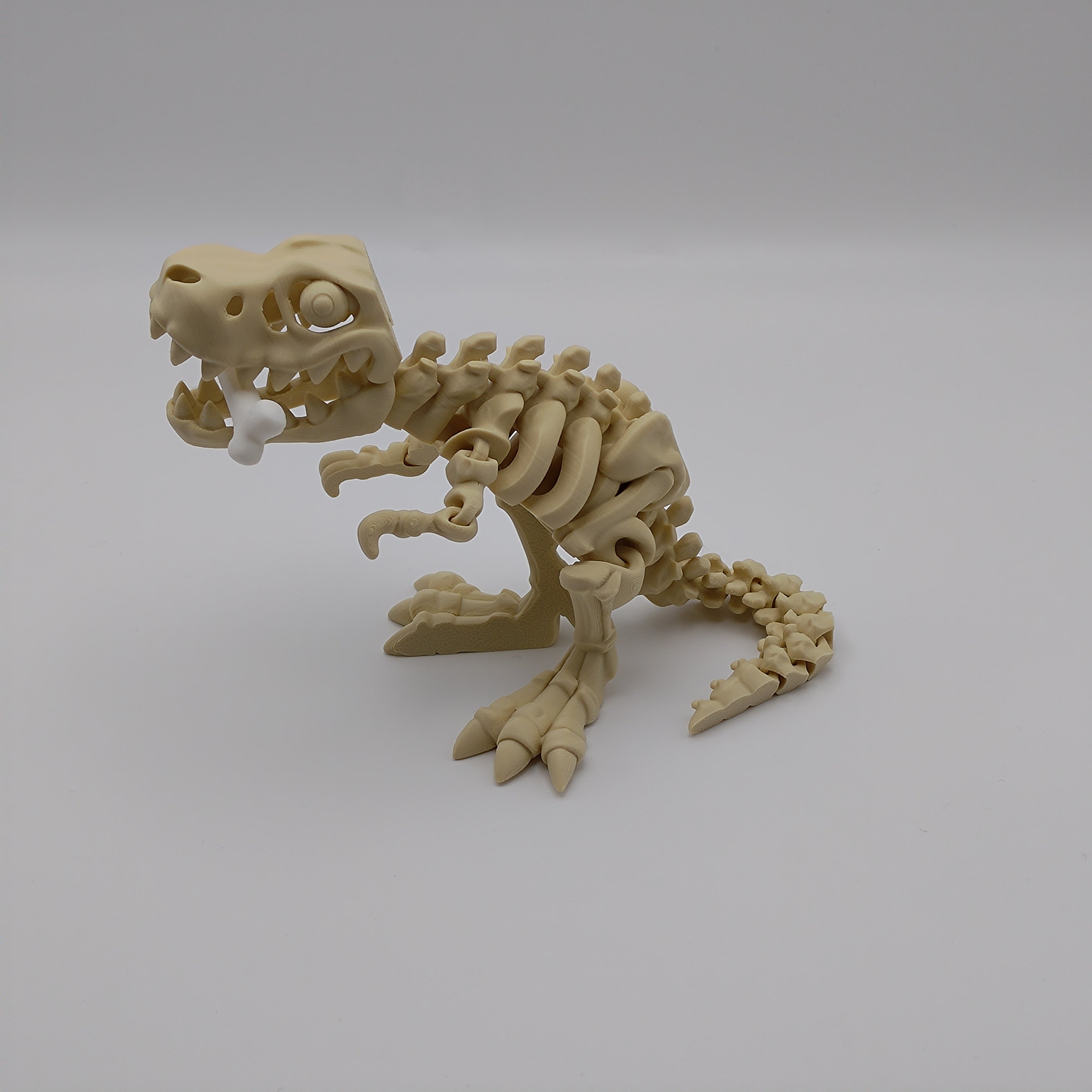 Articulated T-Rex Skeleton - Fillywinkel