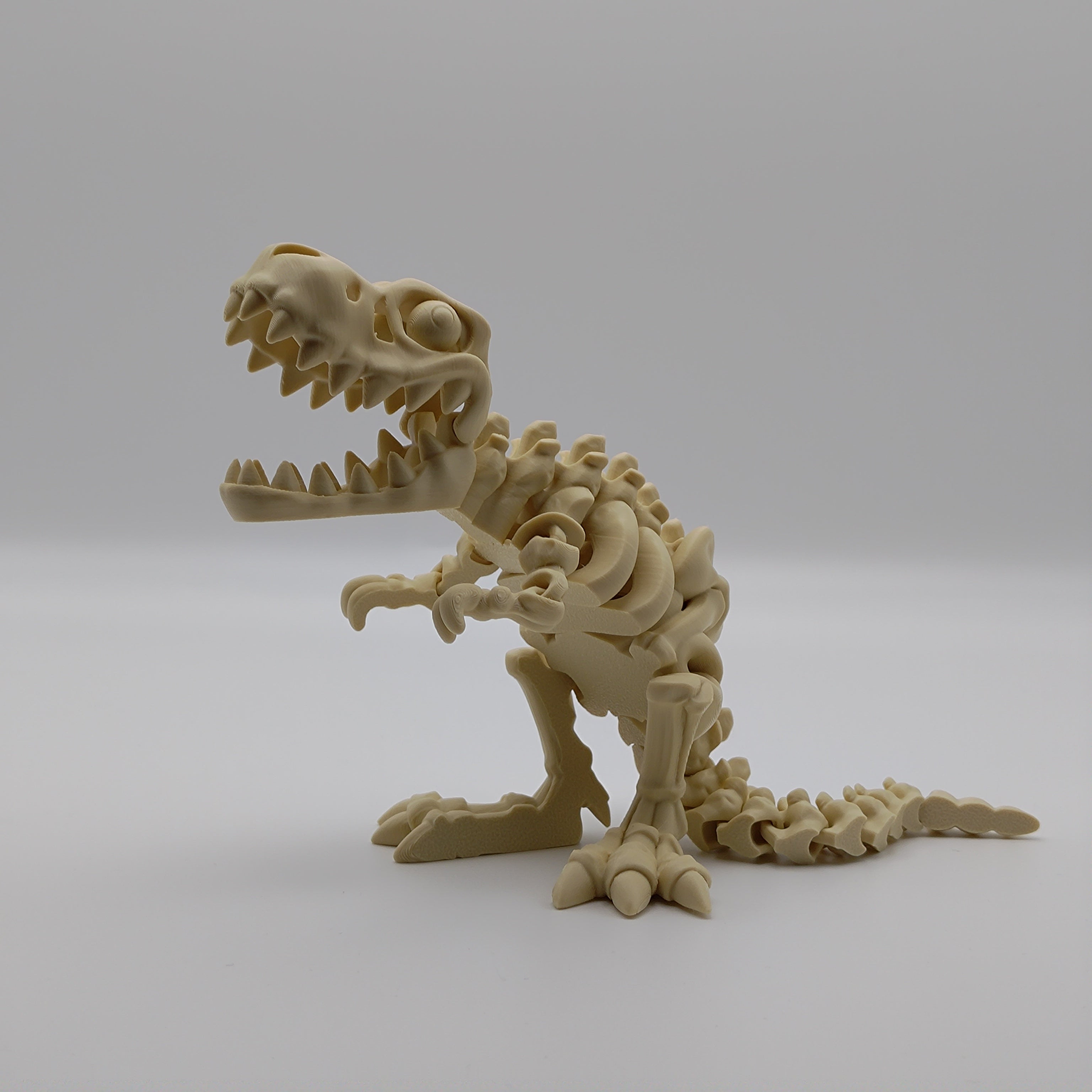Articulated T-Rex Skeleton - Fillywinkel