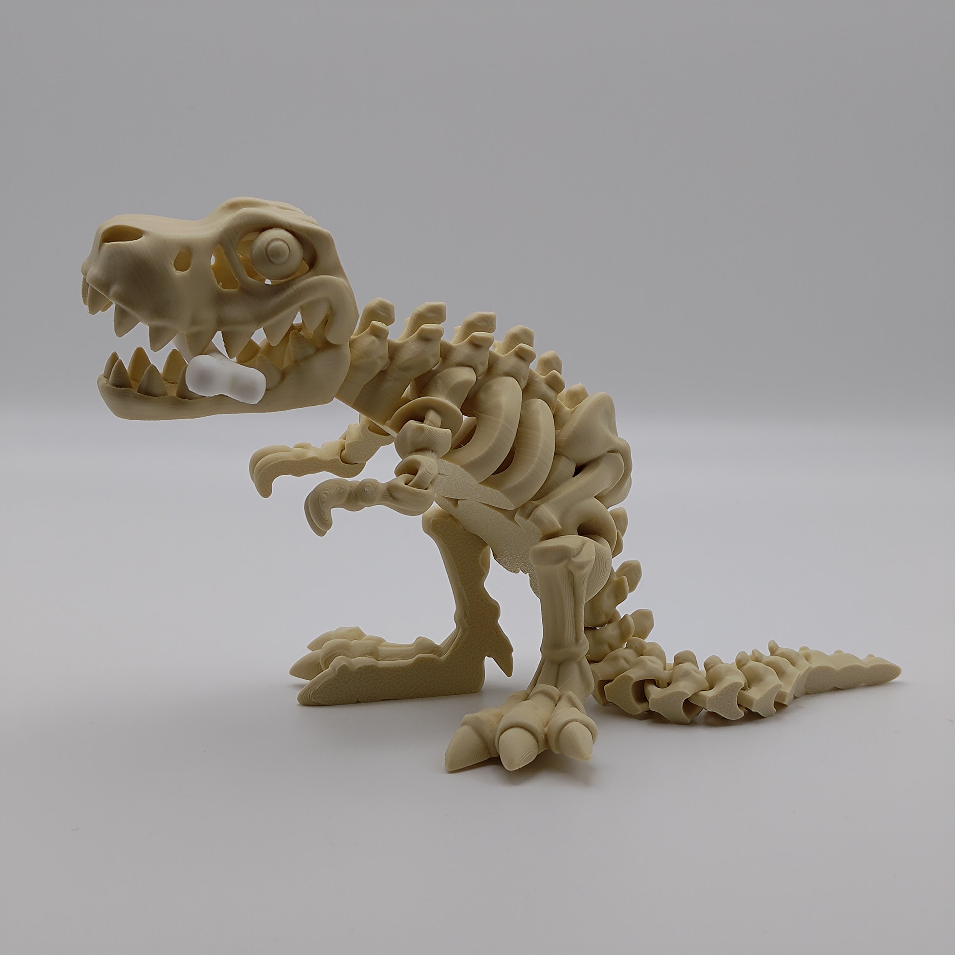Articulated T-Rex Skeleton - Fillywinkel