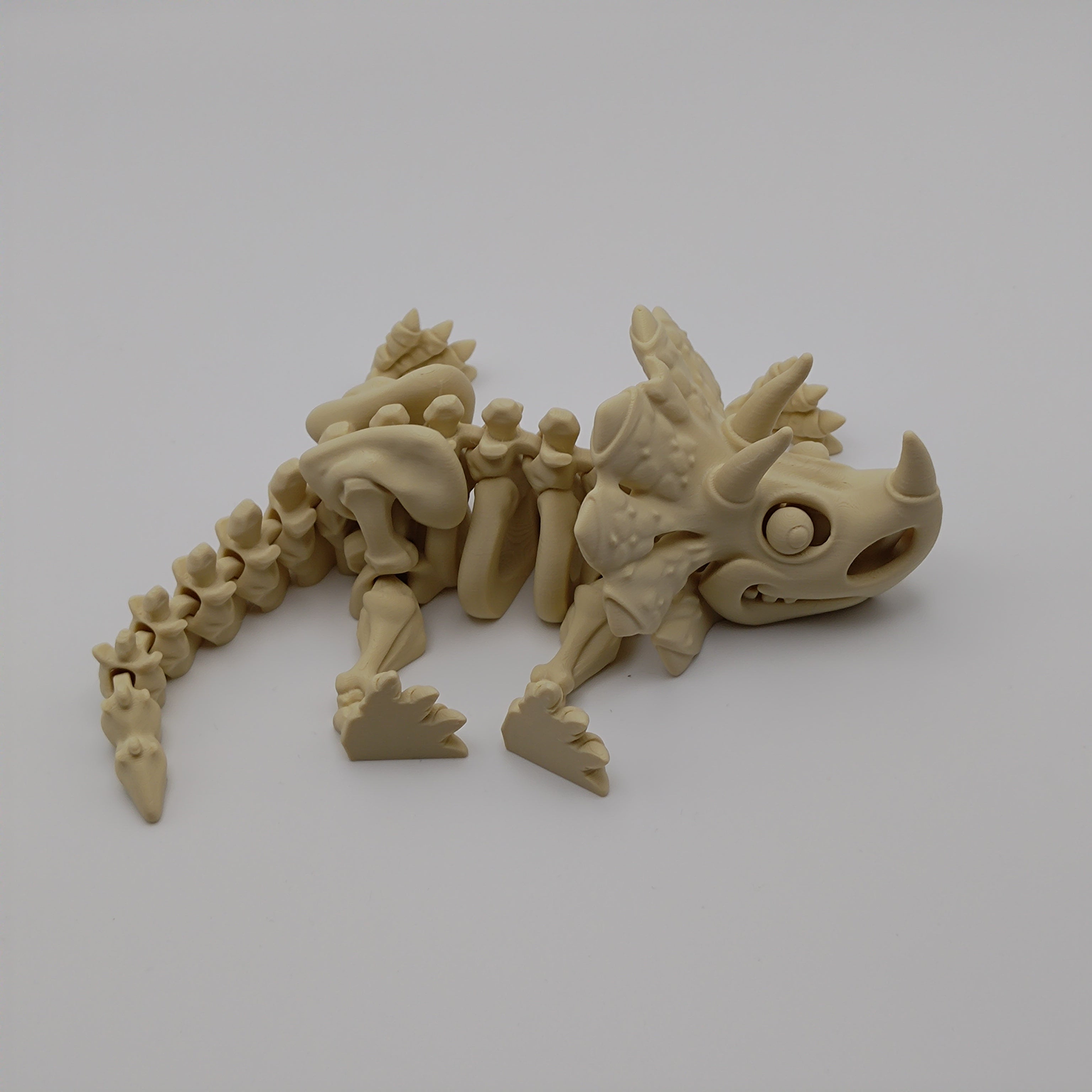 Articulated Dinosaur Triceratops Skeleton - Fillywinkel