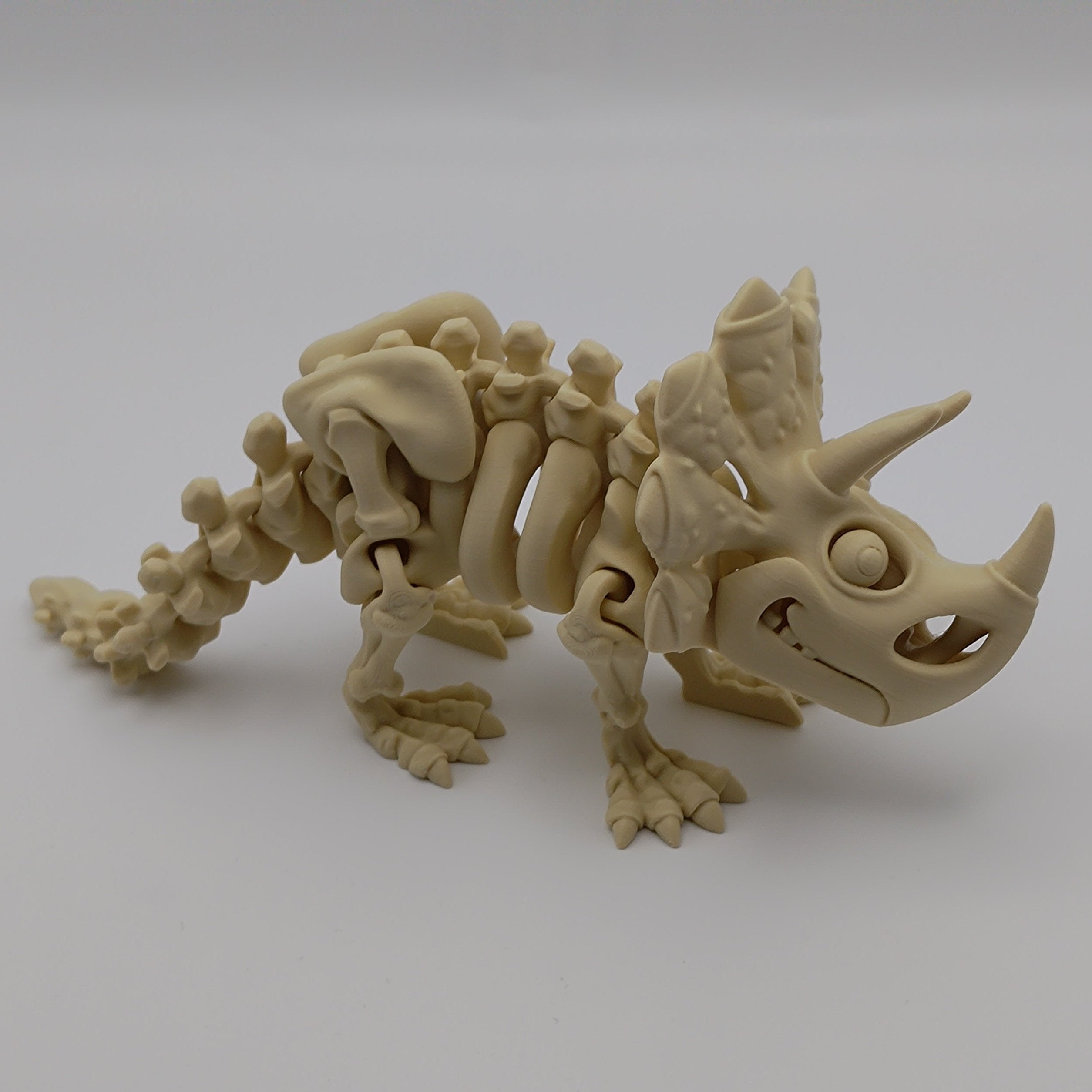 Articulated Dinosaur Triceratops Skeleton - Fillywinkel