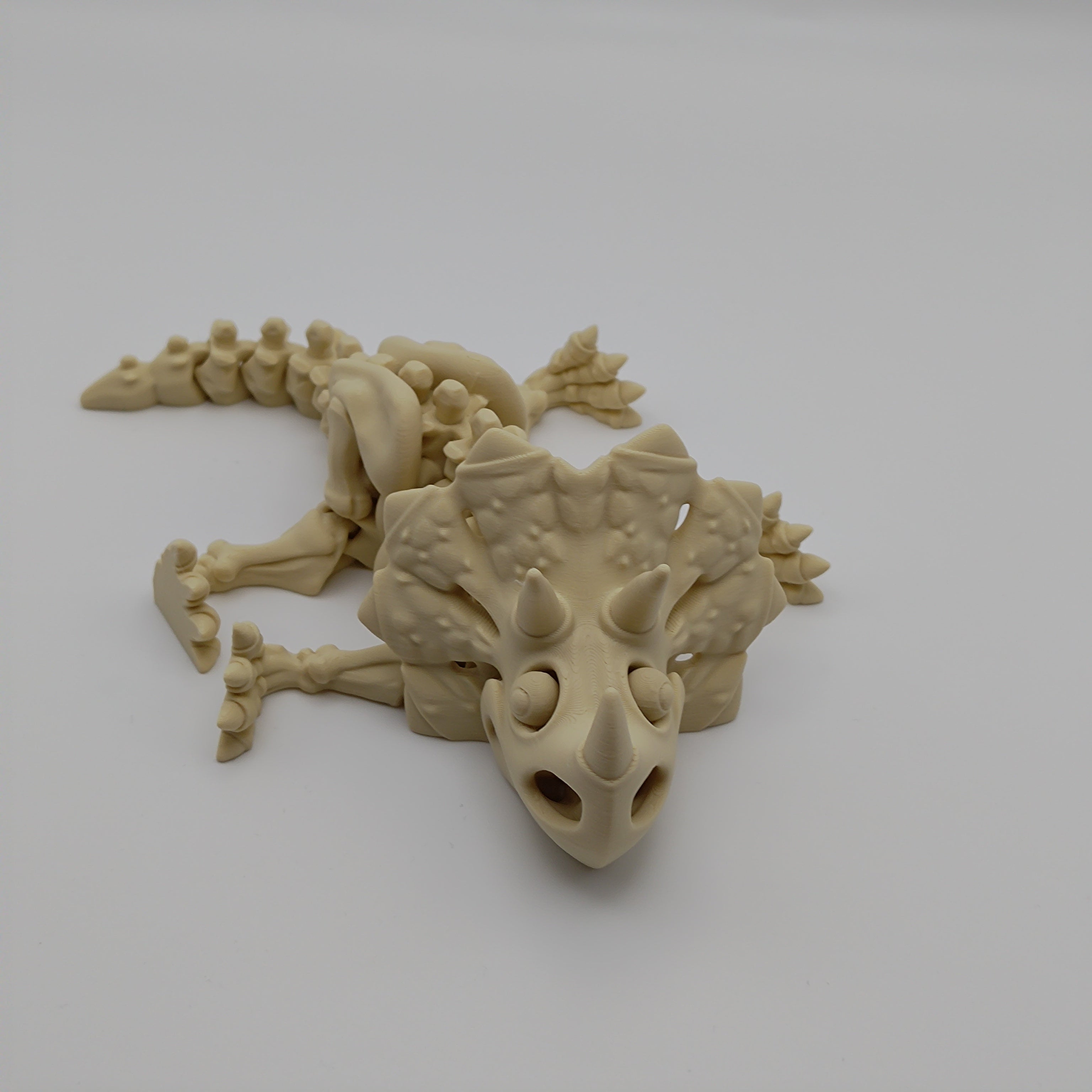 Articulated Dinosaur Triceratops Skeleton - Fillywinkel