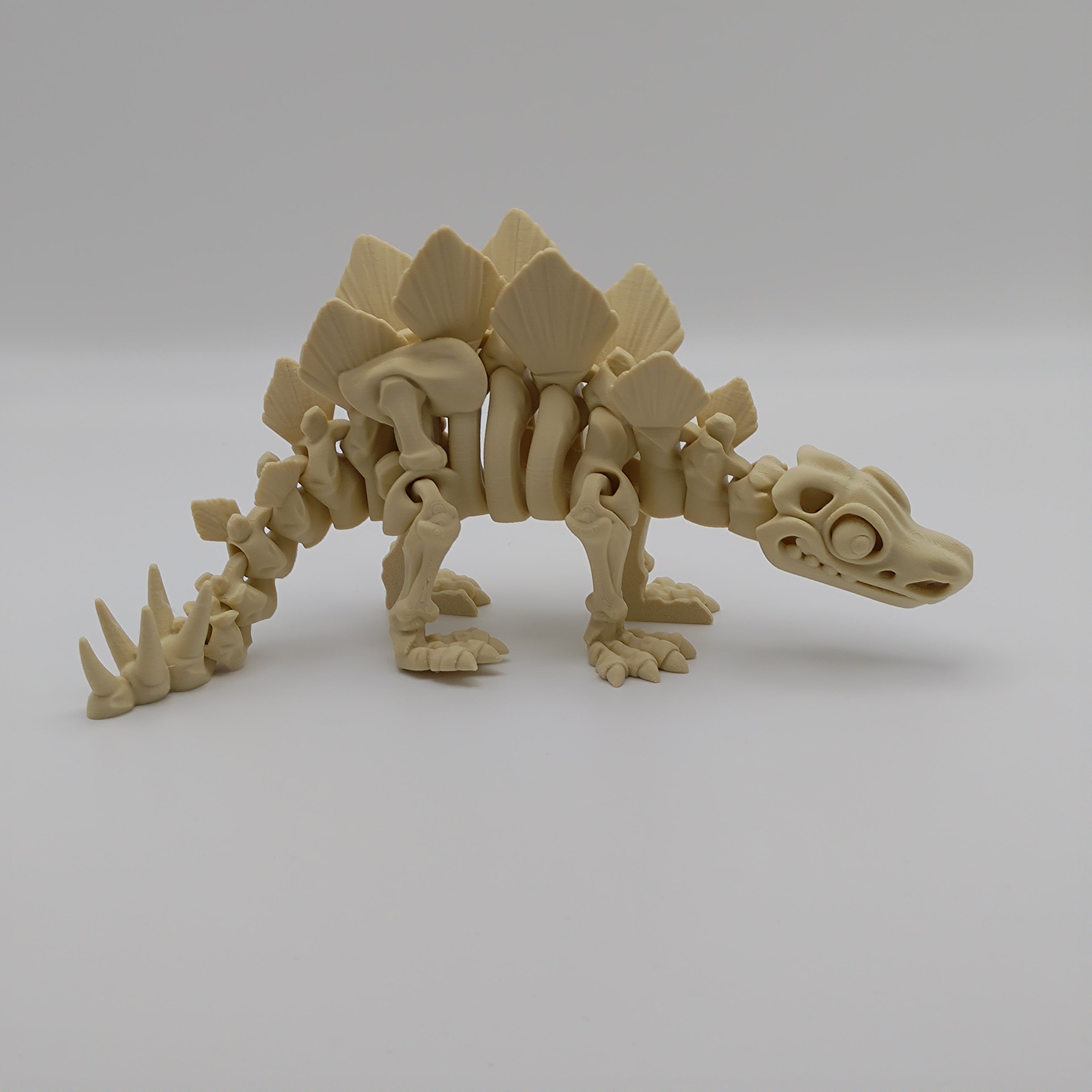 Articulated Dinosaur Stegosaur Skeleton - Fillywinkel