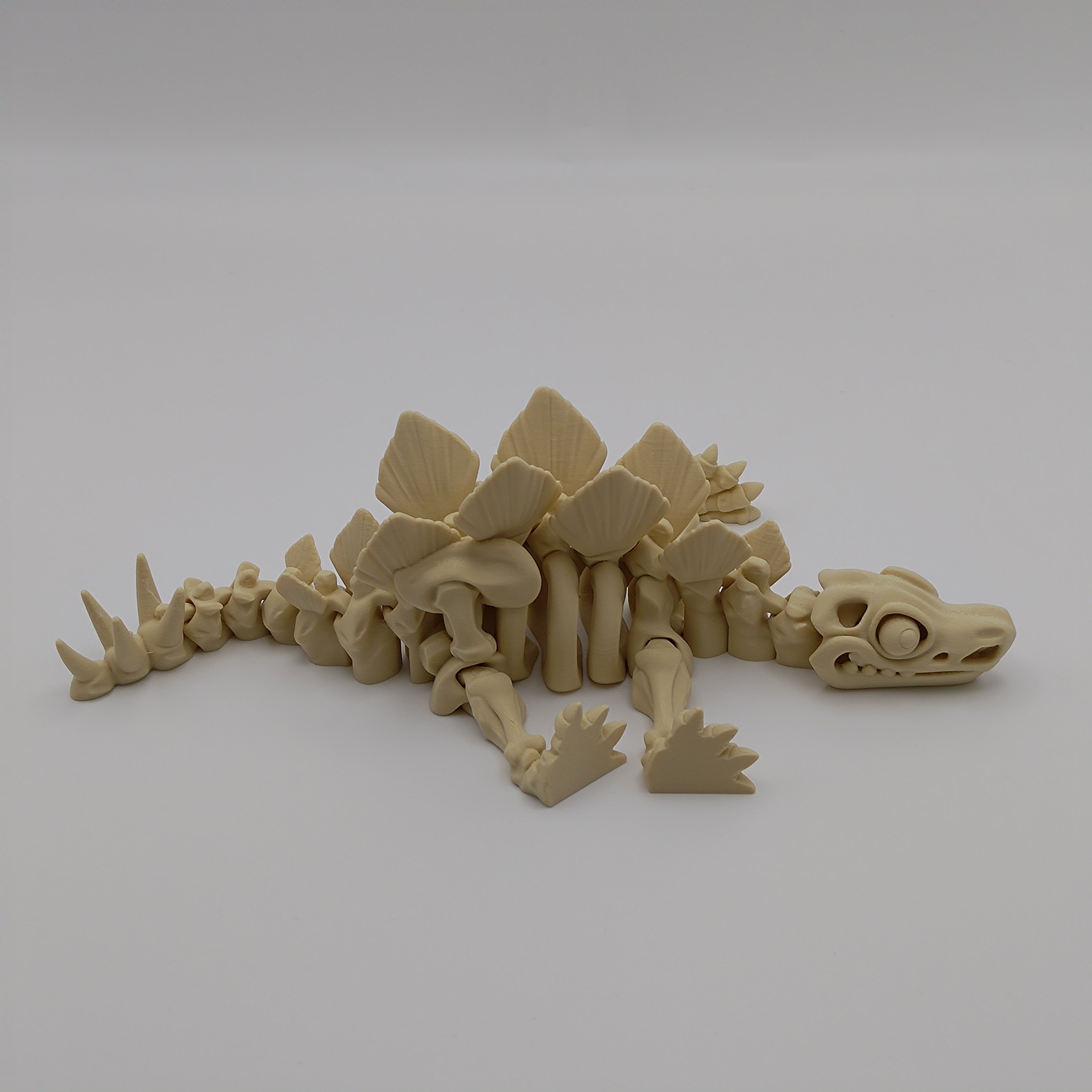 Articulated Dinosaur Stegosaur Skeleton - Fillywinkel