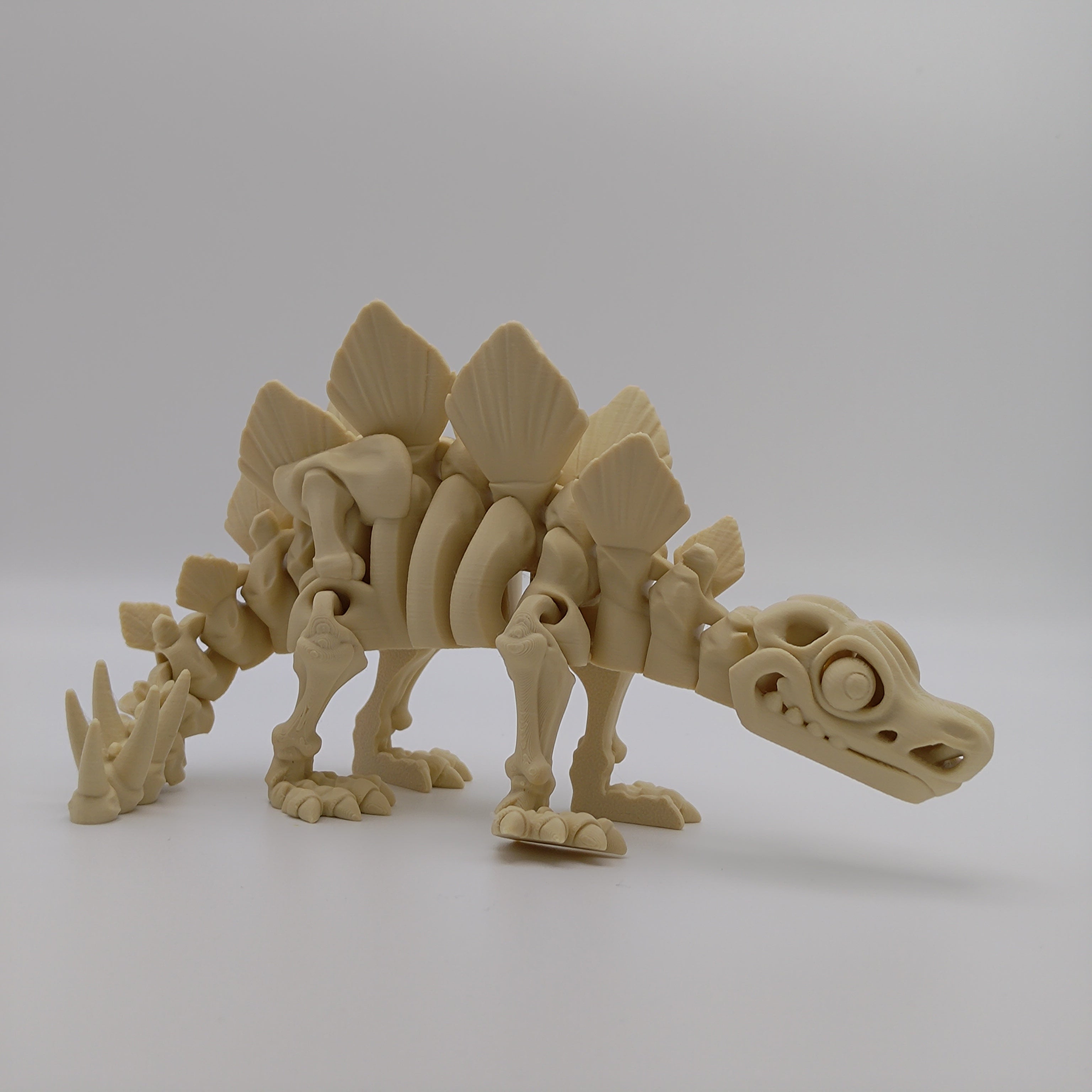 Articulated Dinosaur Stegosaur Skeleton - Fillywinkel