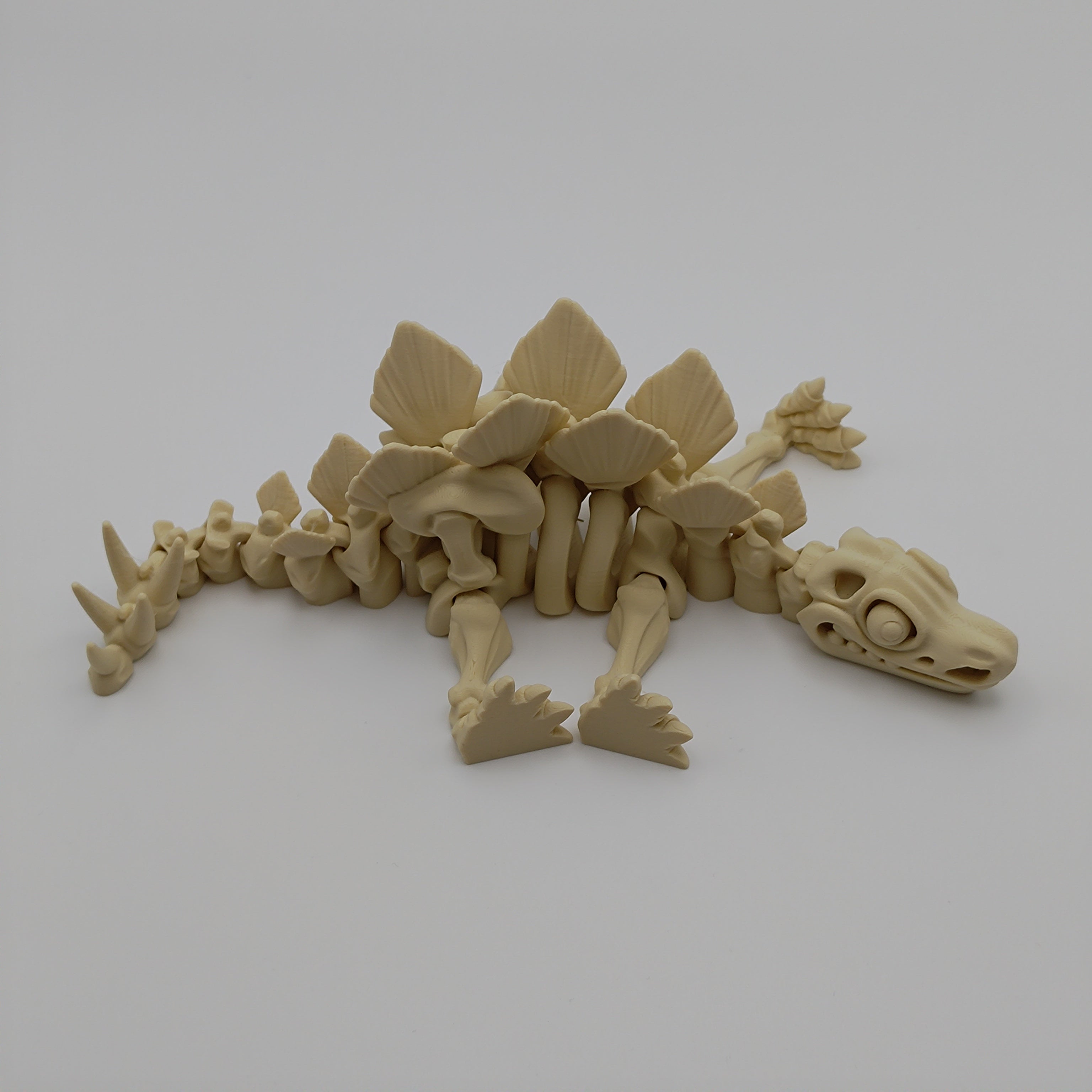 Articulated Dinosaur Stegosaur Skeleton - Fillywinkel