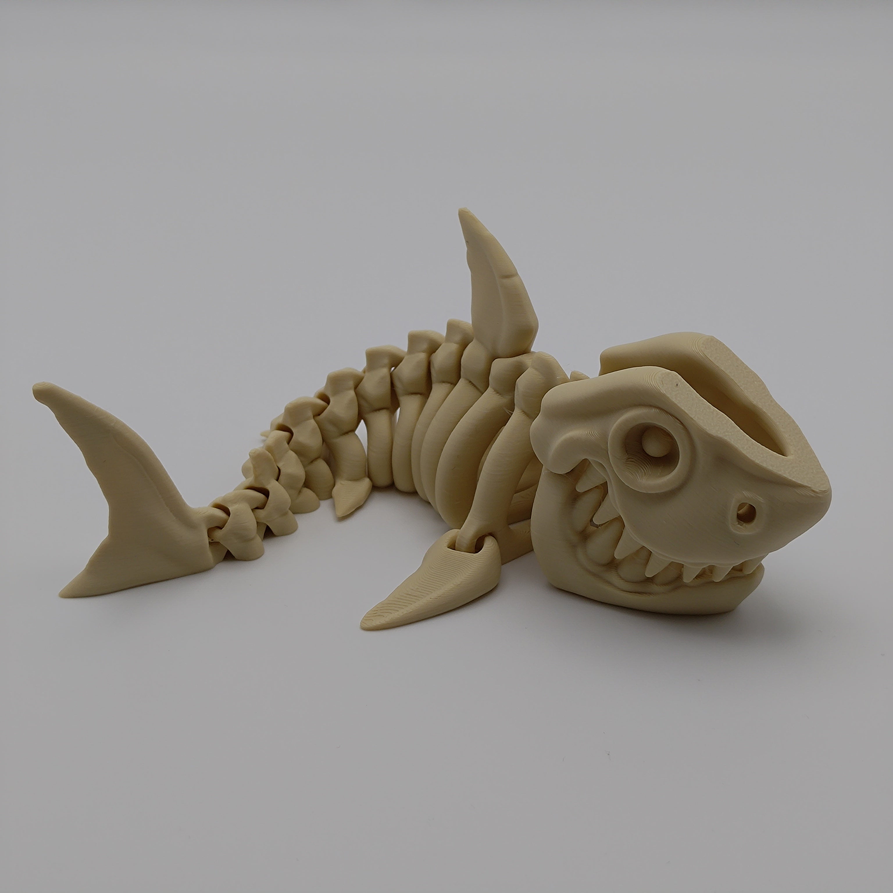 Articulated Shark Skeleton - Fillywinkel