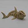 Articulated Shark Skeleton - Fillywinkel