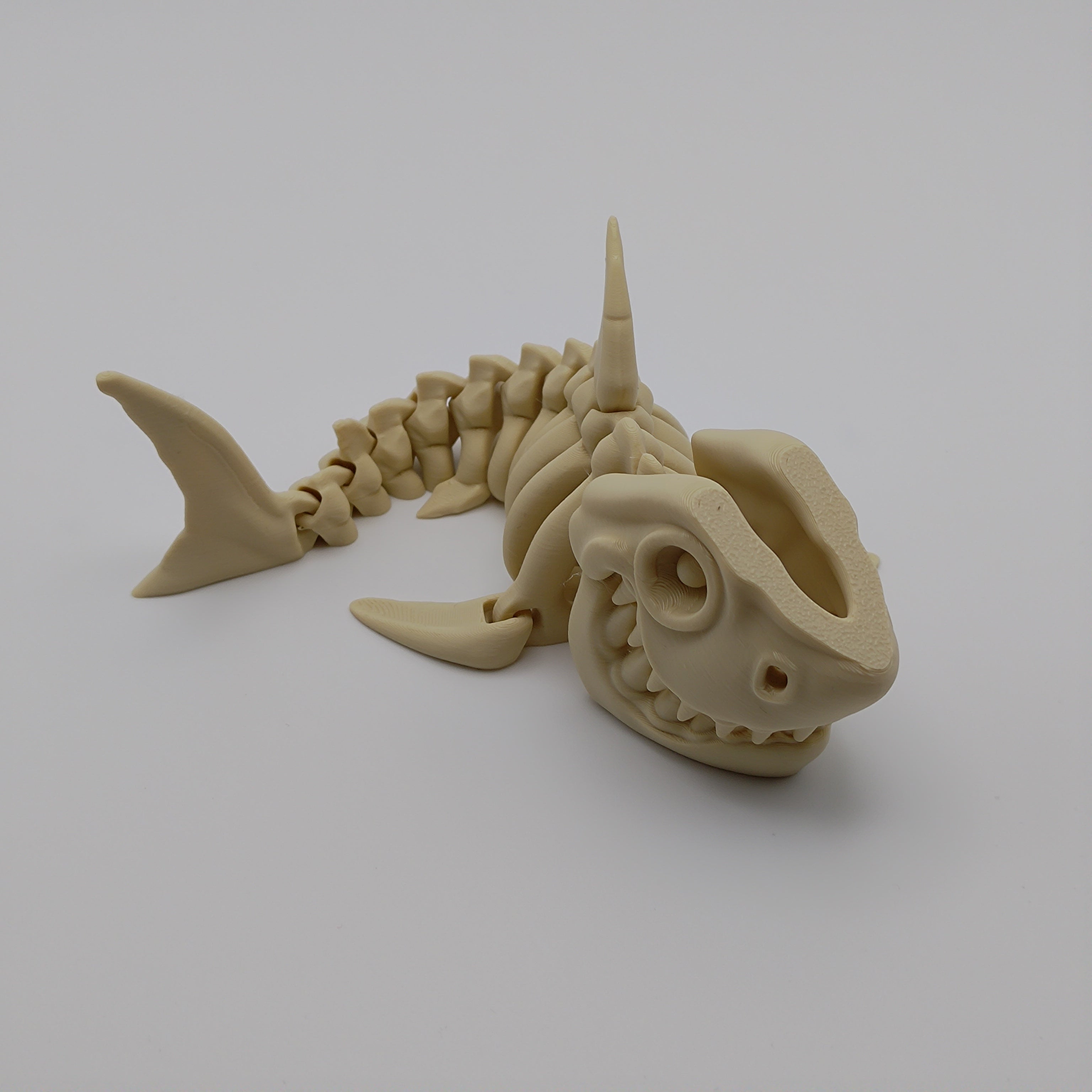 Articulated Shark Skeleton - Fillywinkel