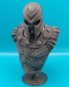 Bust inspired by Magneto - Fillywinkel
