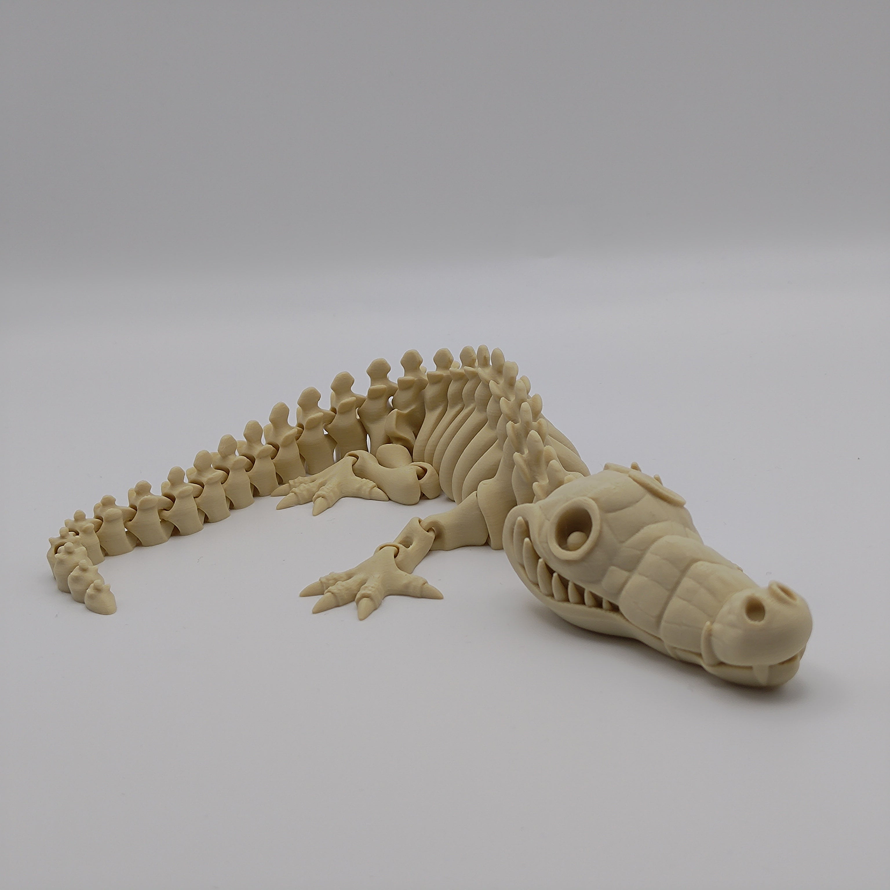 Articulated Crocodile Skeleton - Fillywinkel