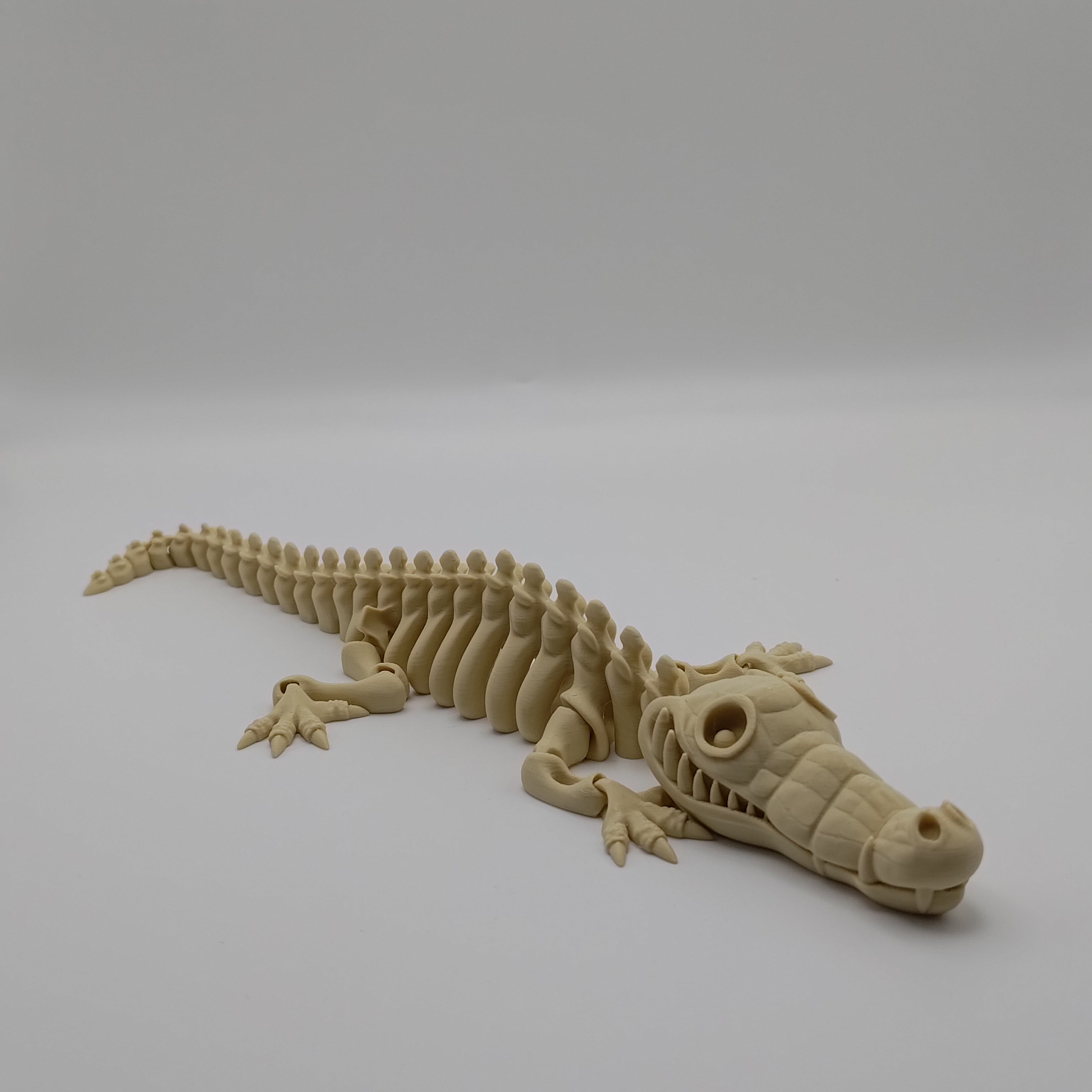 Articulated Crocodile Skeleton - Fillywinkel