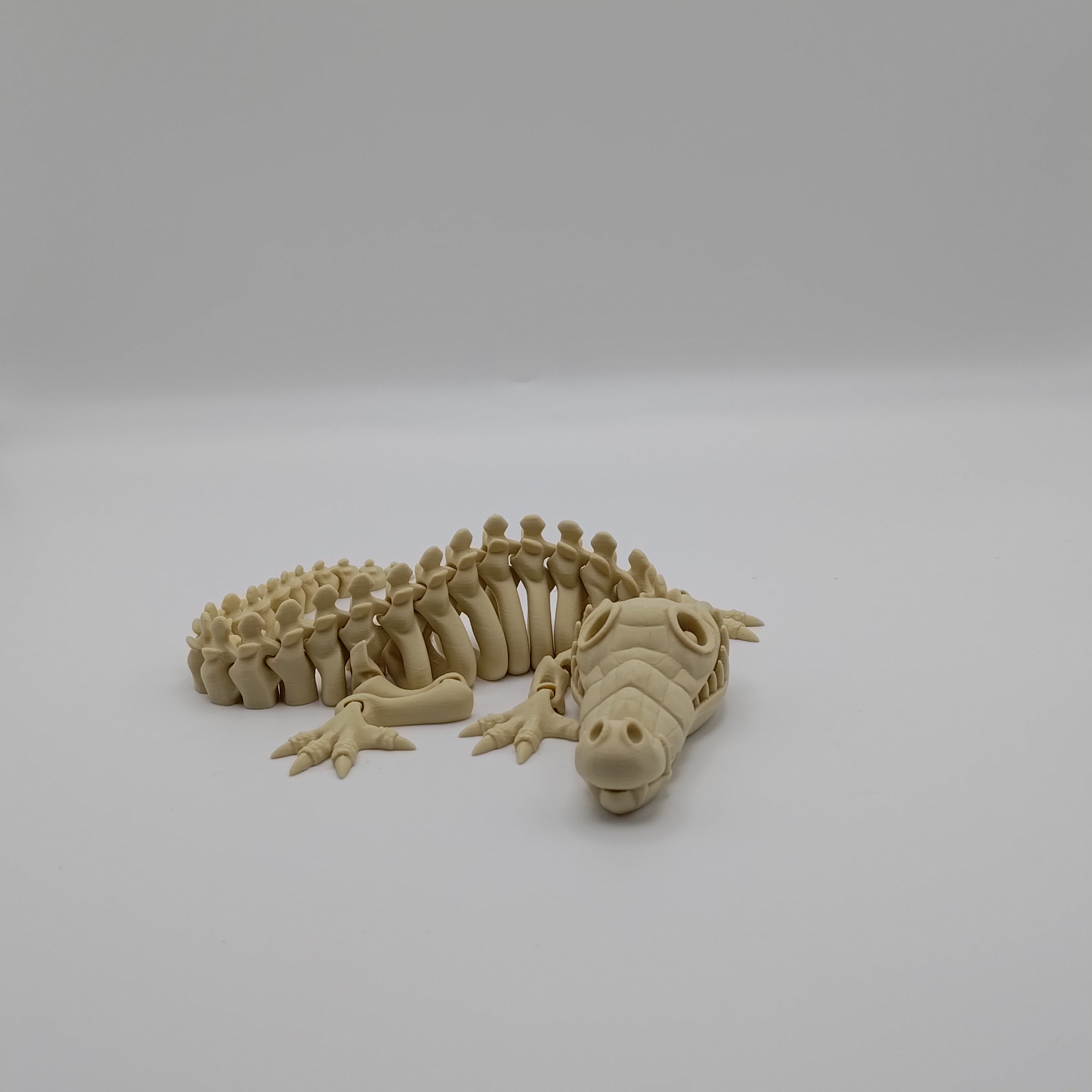 Articulated Crocodile Skeleton - Fillywinkel