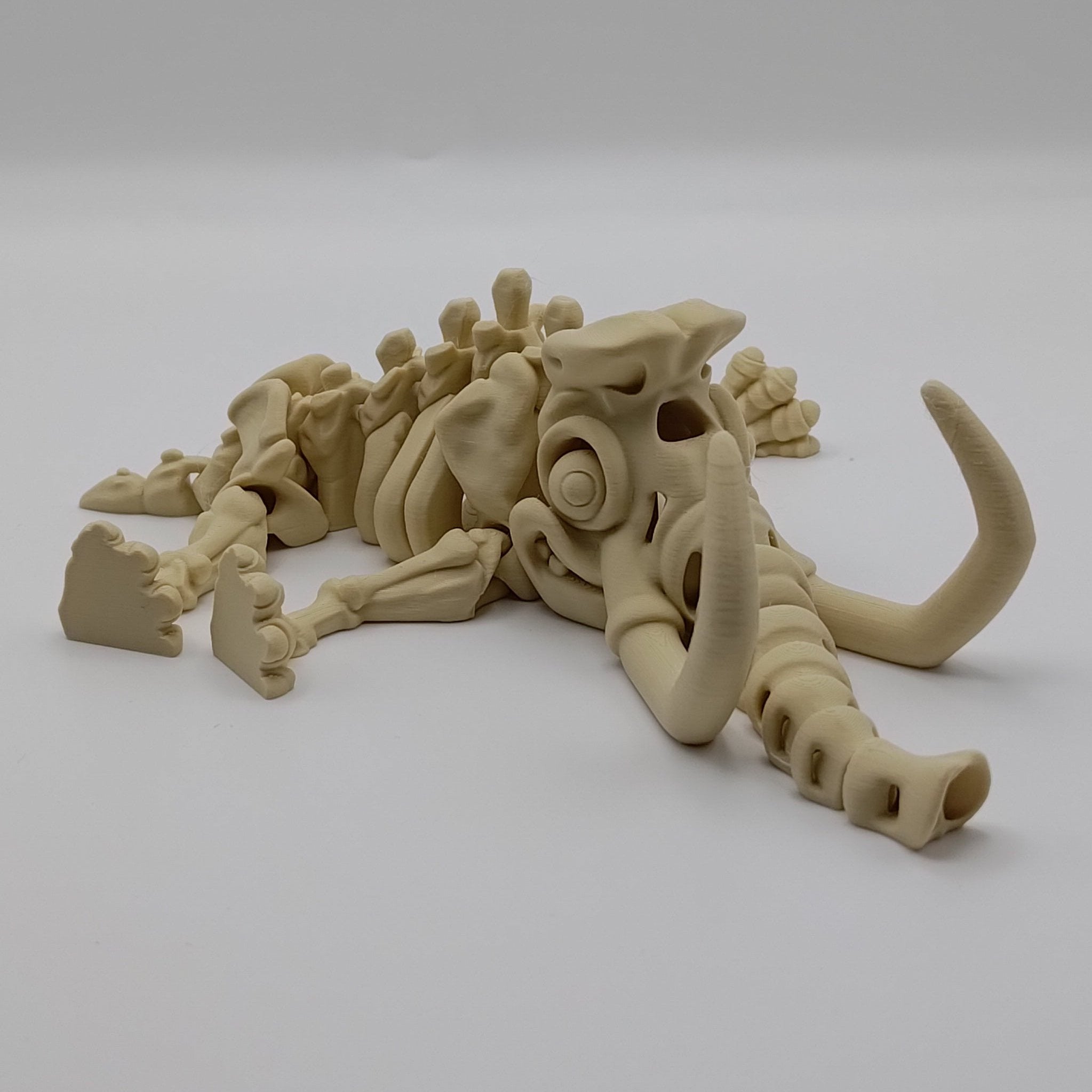 Articulated Mammoth Skeleton - Fillywinkel