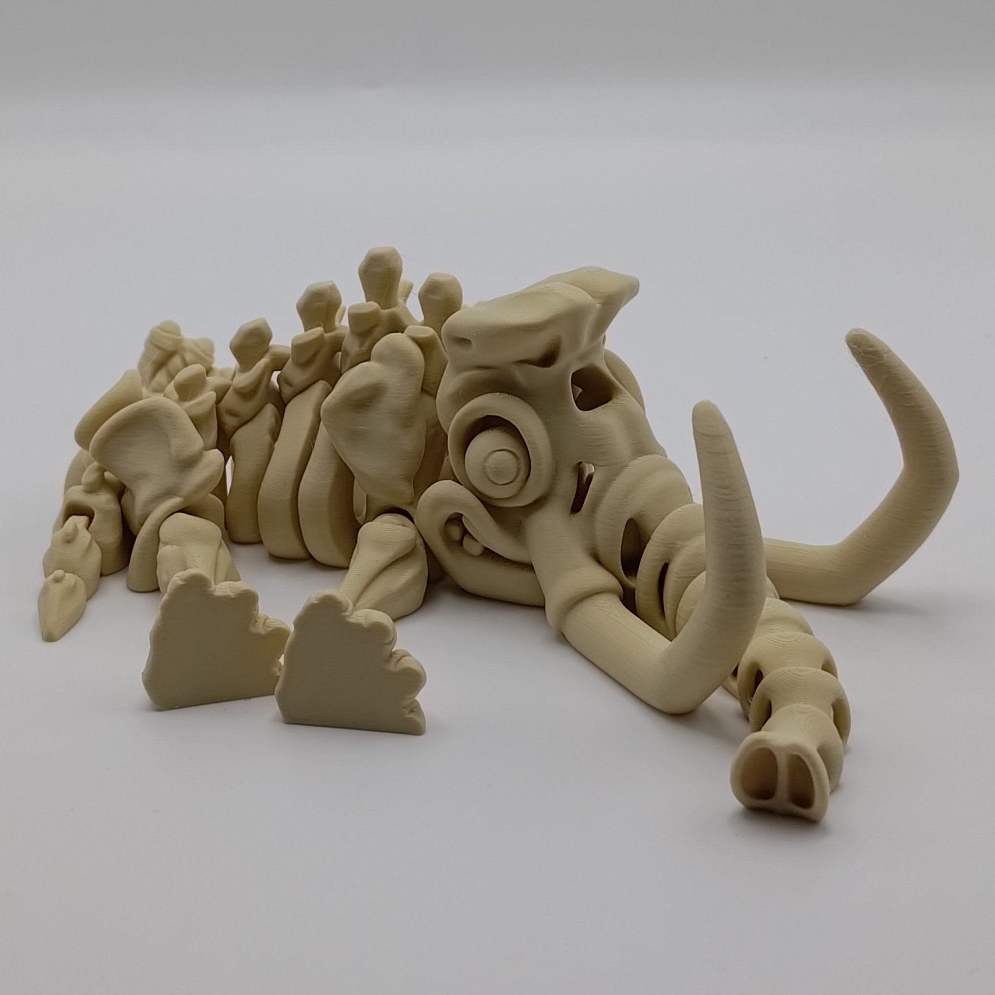 Articulated Mammoth Skeleton - Fillywinkel