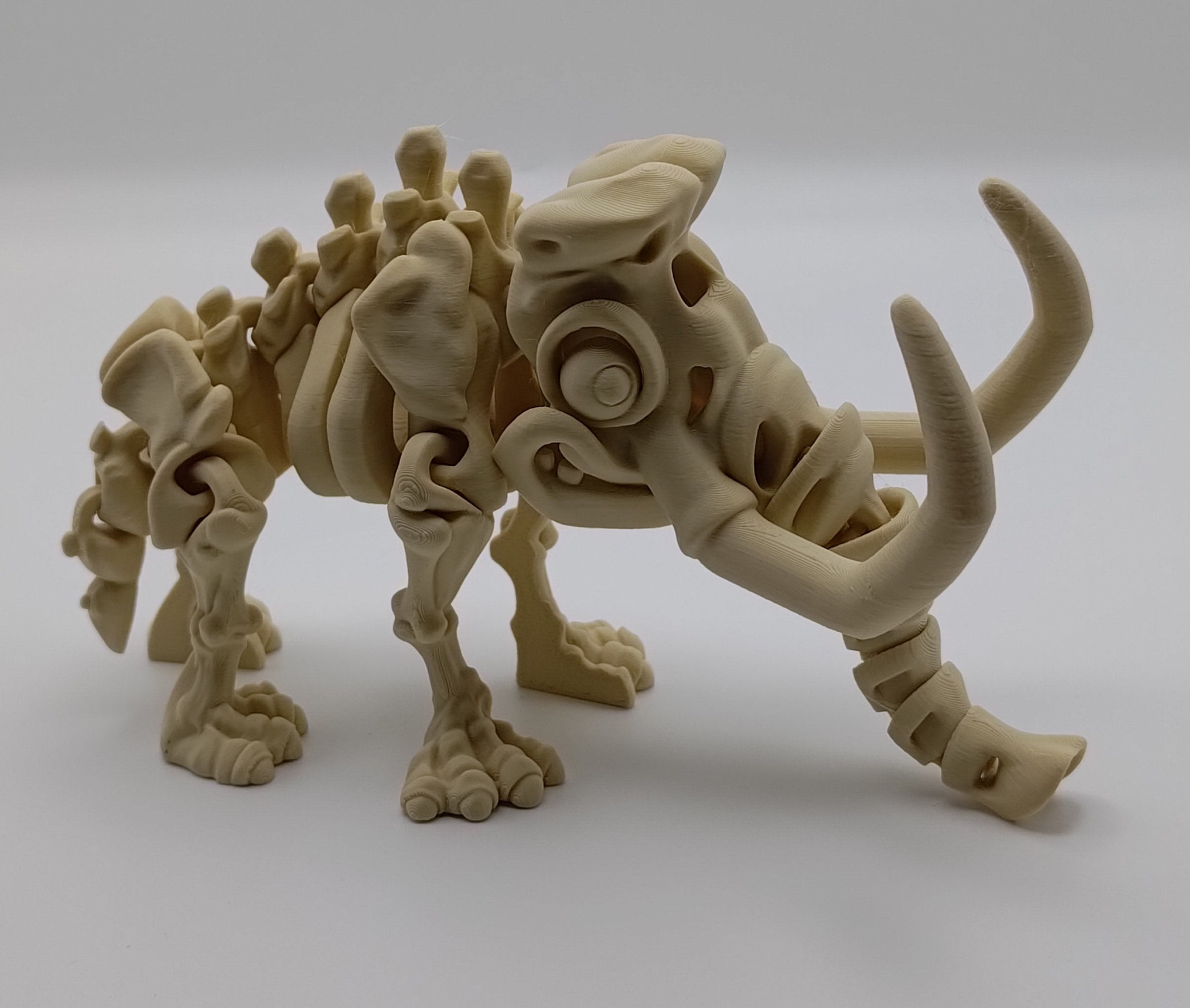 Articulated Mammoth Skeleton - Fillywinkel